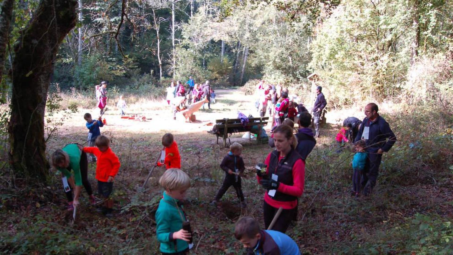 Instantánea de uno de los momentos de la jornada de trabajo voluntaria para mejorar el acceso a la gruta llevada a cabo por los escolares.