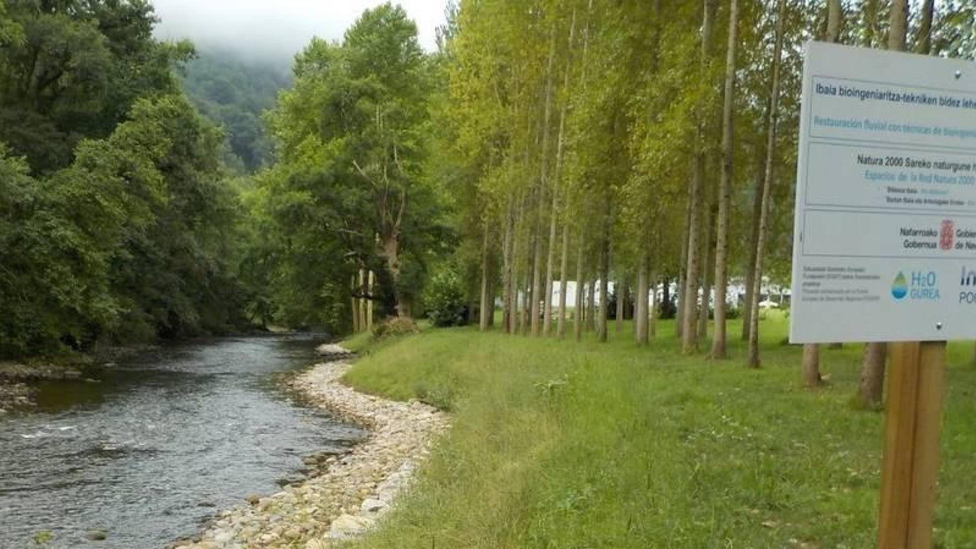 Detalle de obra de bioingeniería de restauración fluvial del proyecto H2OGurea