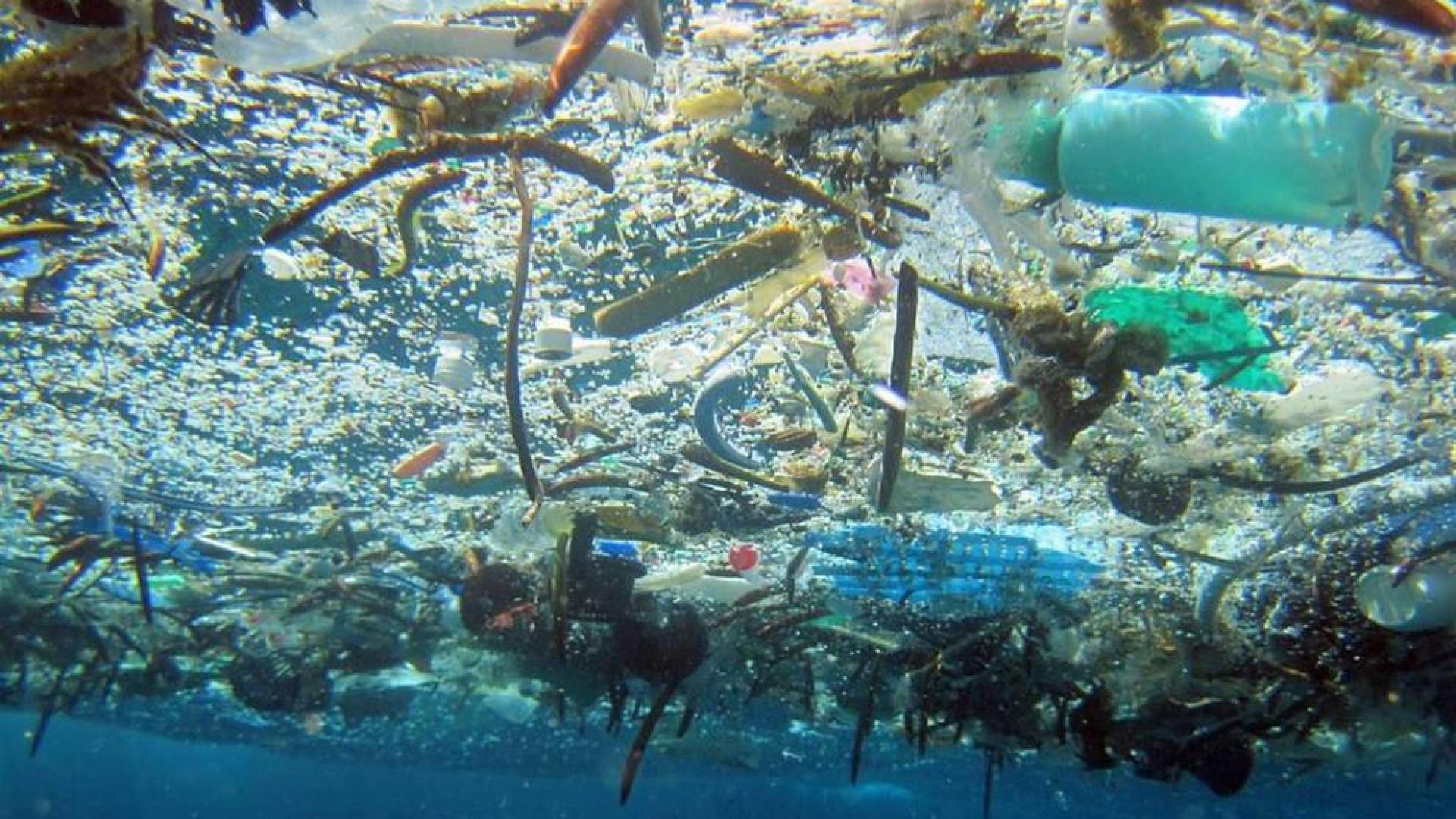 Los océanos, entre el plástico, la acidez y la sobrepesca