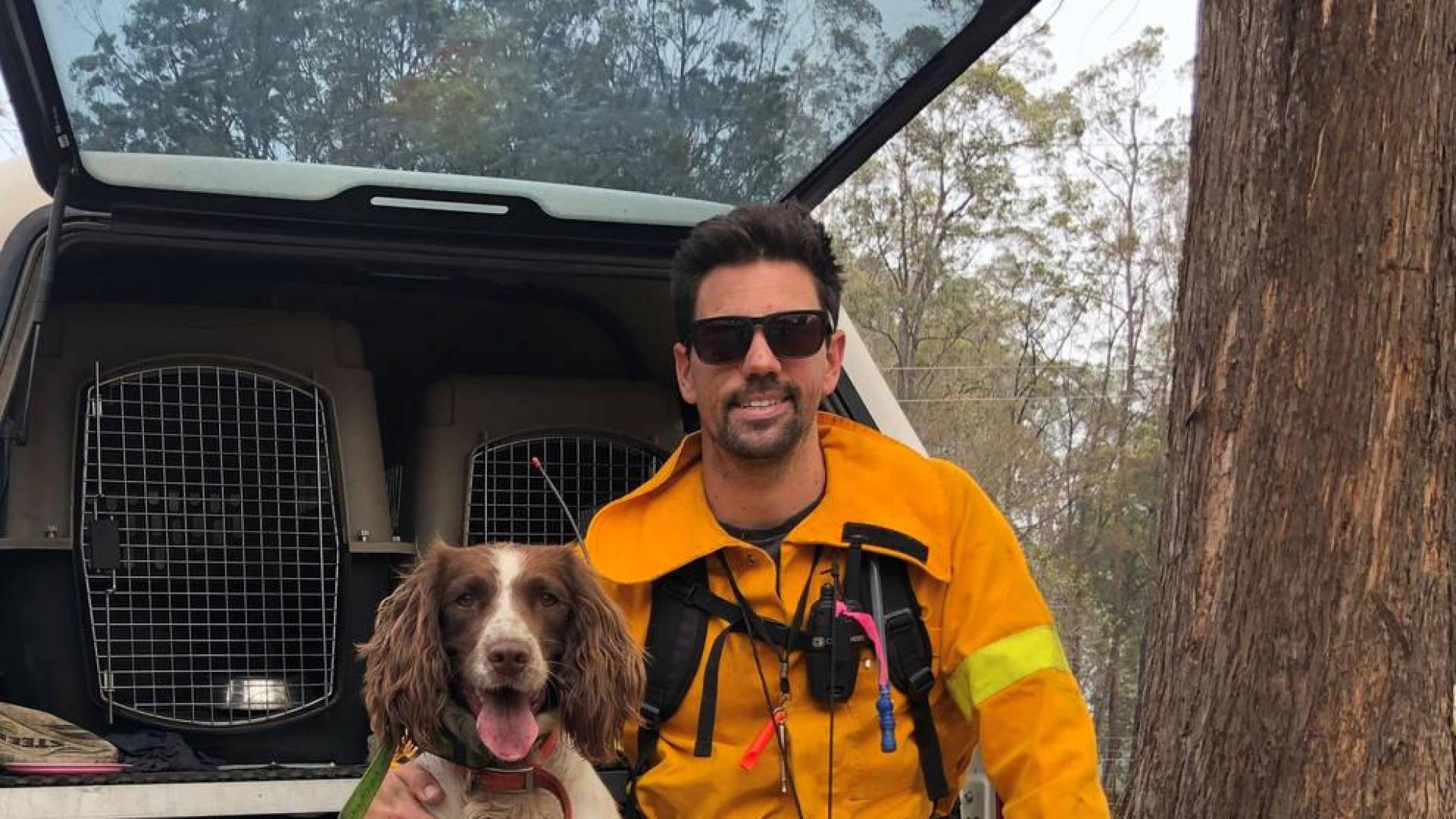 Una perra ayuda a rescatar koalas en los incendios de Australia