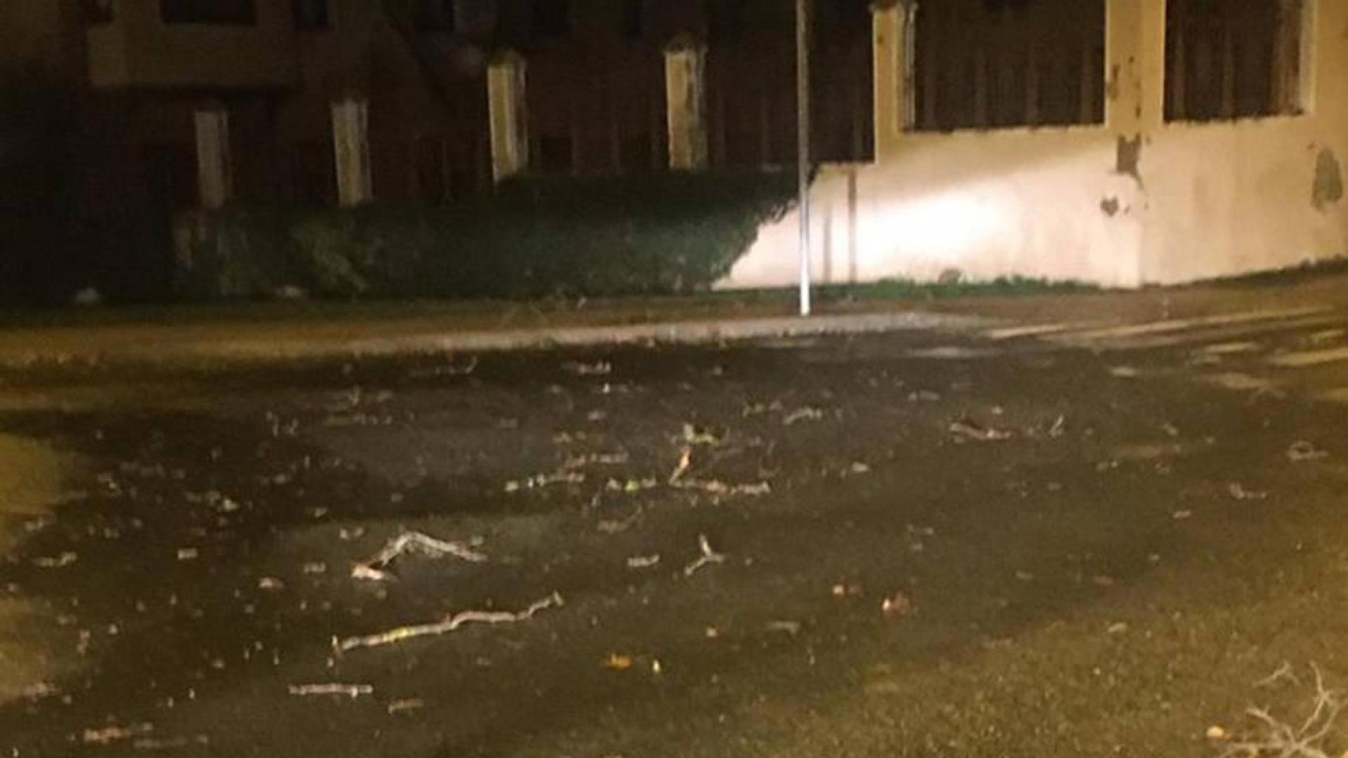 Cerrada al tráfico la carretera de Miluce por riesgo de caída de ramas