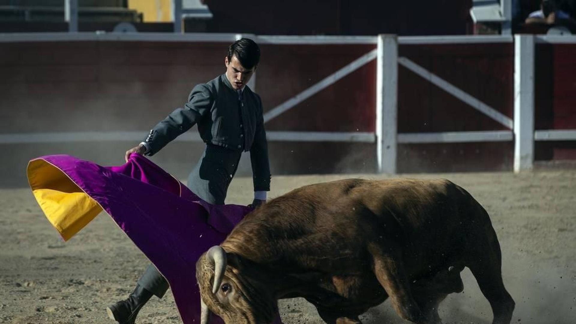 Galería de imágenes de la corrida de toros del 12 de septiembre en las fiestas de Sangüesa.