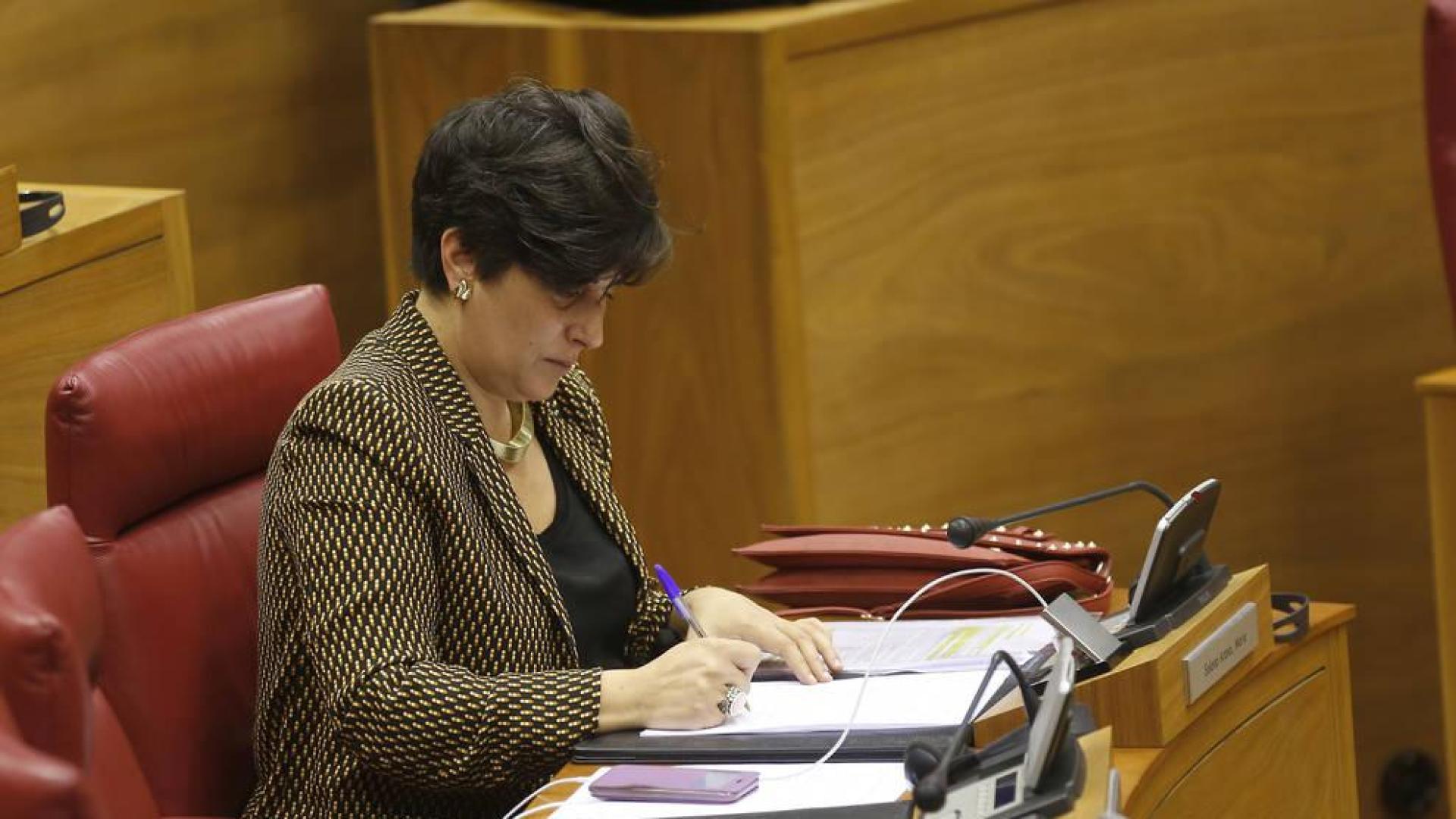 La consejera María Solana toma notas durante un pleno del Parlamento.