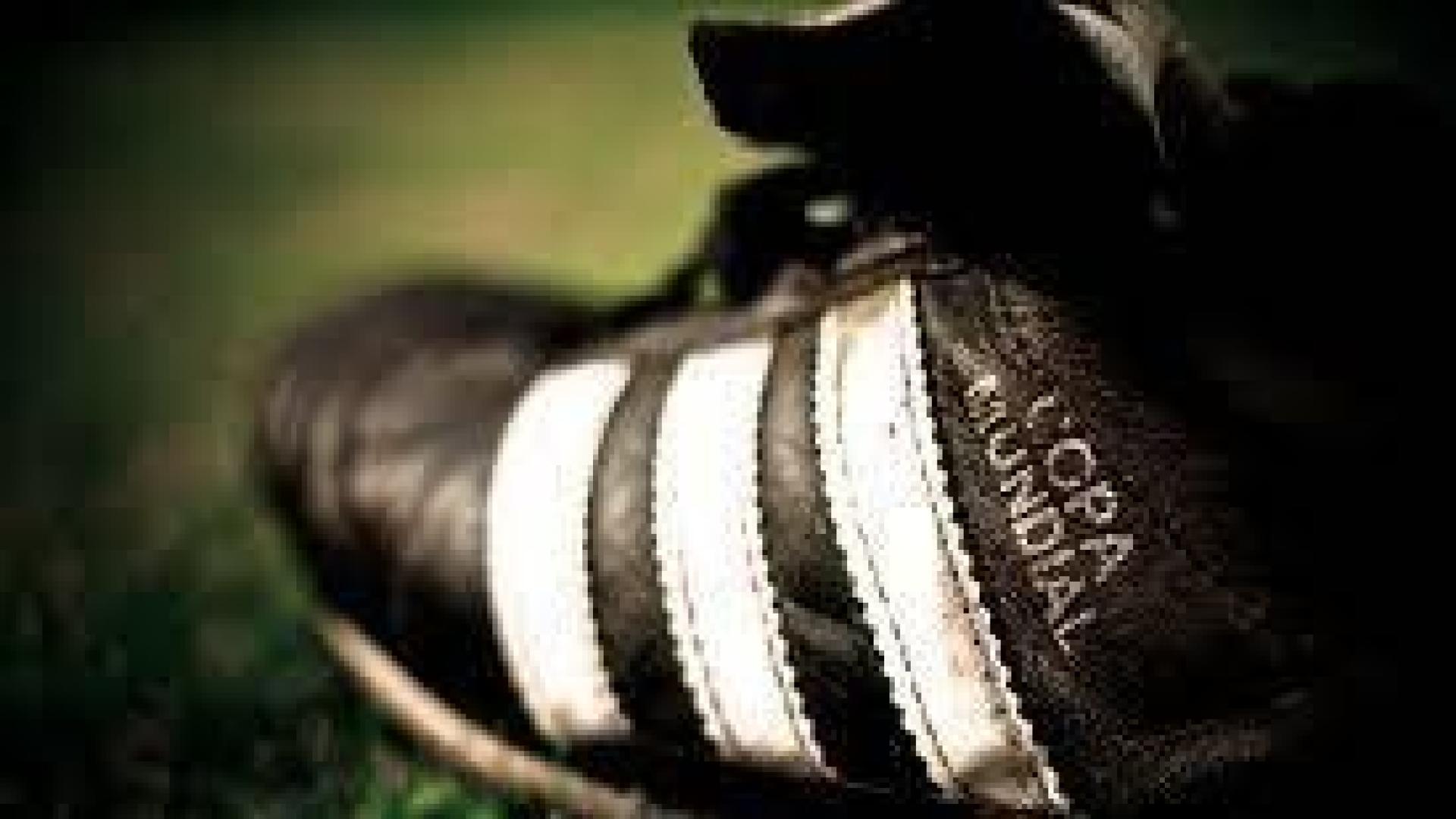 4 jóvenes estrellas del fútbol que podrían ser los mejores del mundo después de la era Messi-Ronaldo