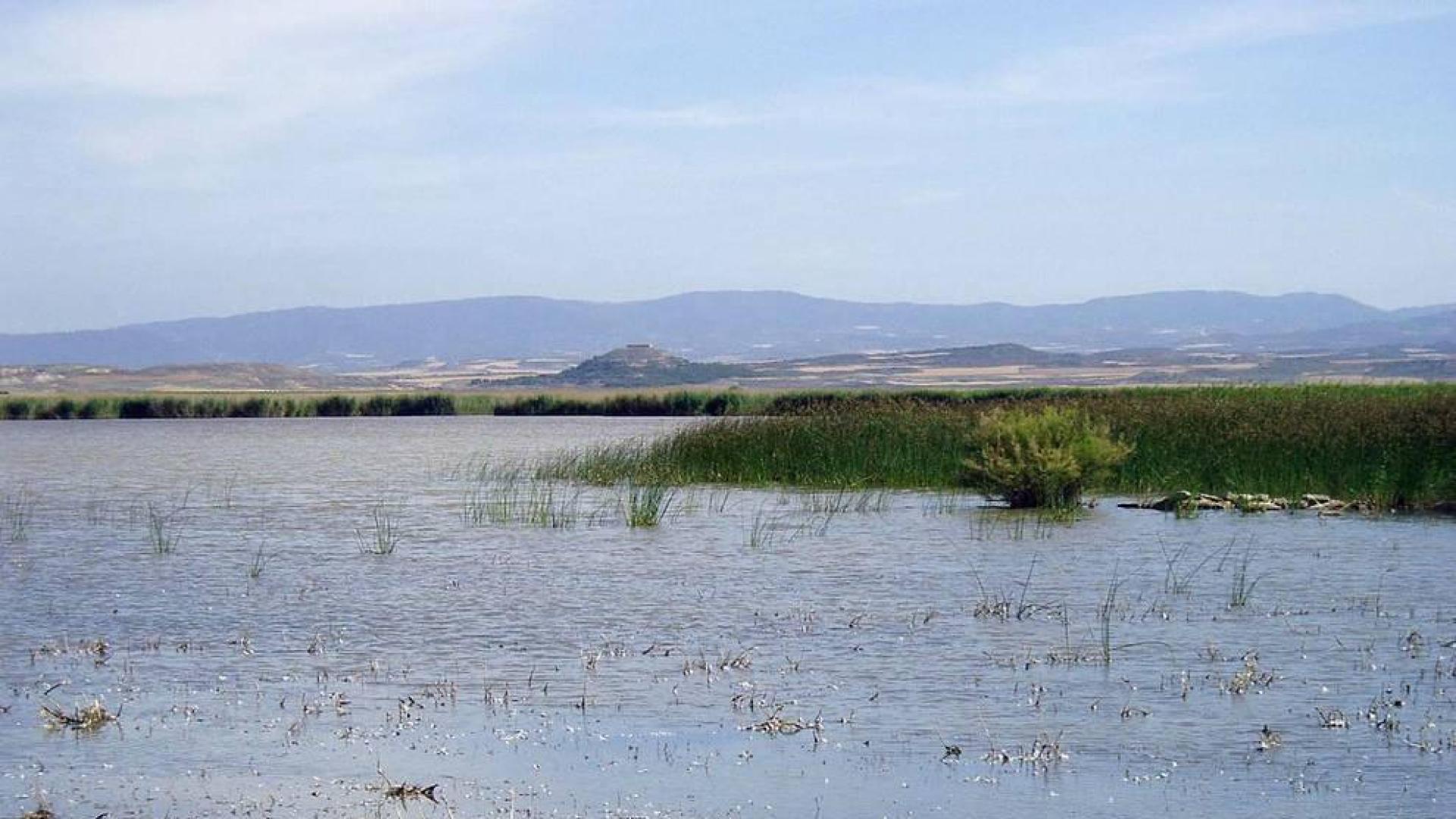 Laguna de Pitillas