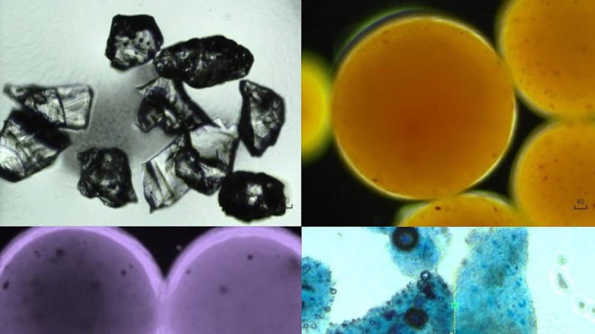 Imagen que muestra restos de microplásticos en cosméticos bajo microscopía óptica