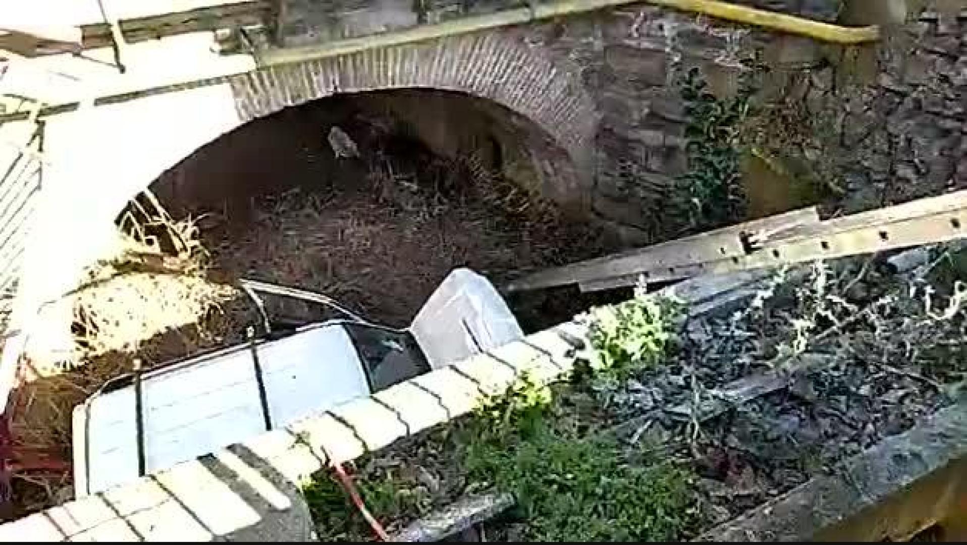 Vídeo del rescate de los bomberos en Lodosa