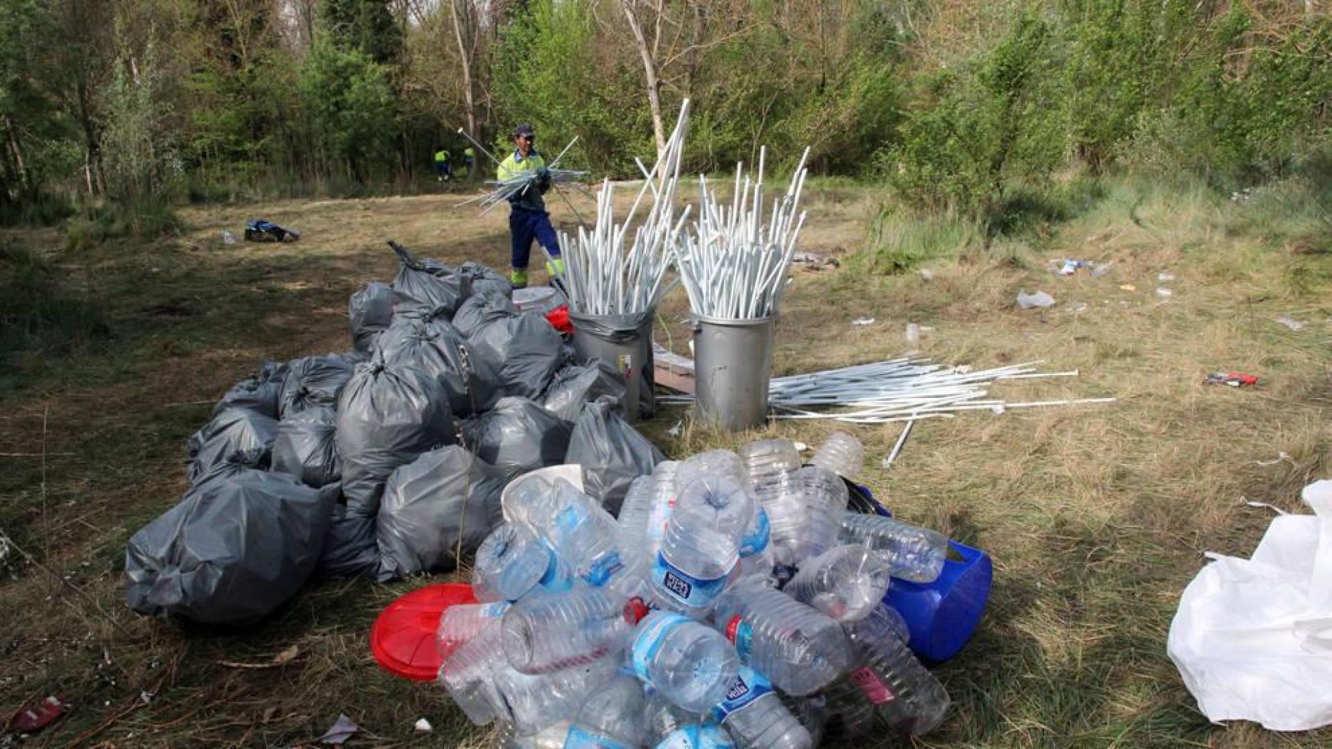Imagen de la basura recogida durante la limpieza realizada el lunes.