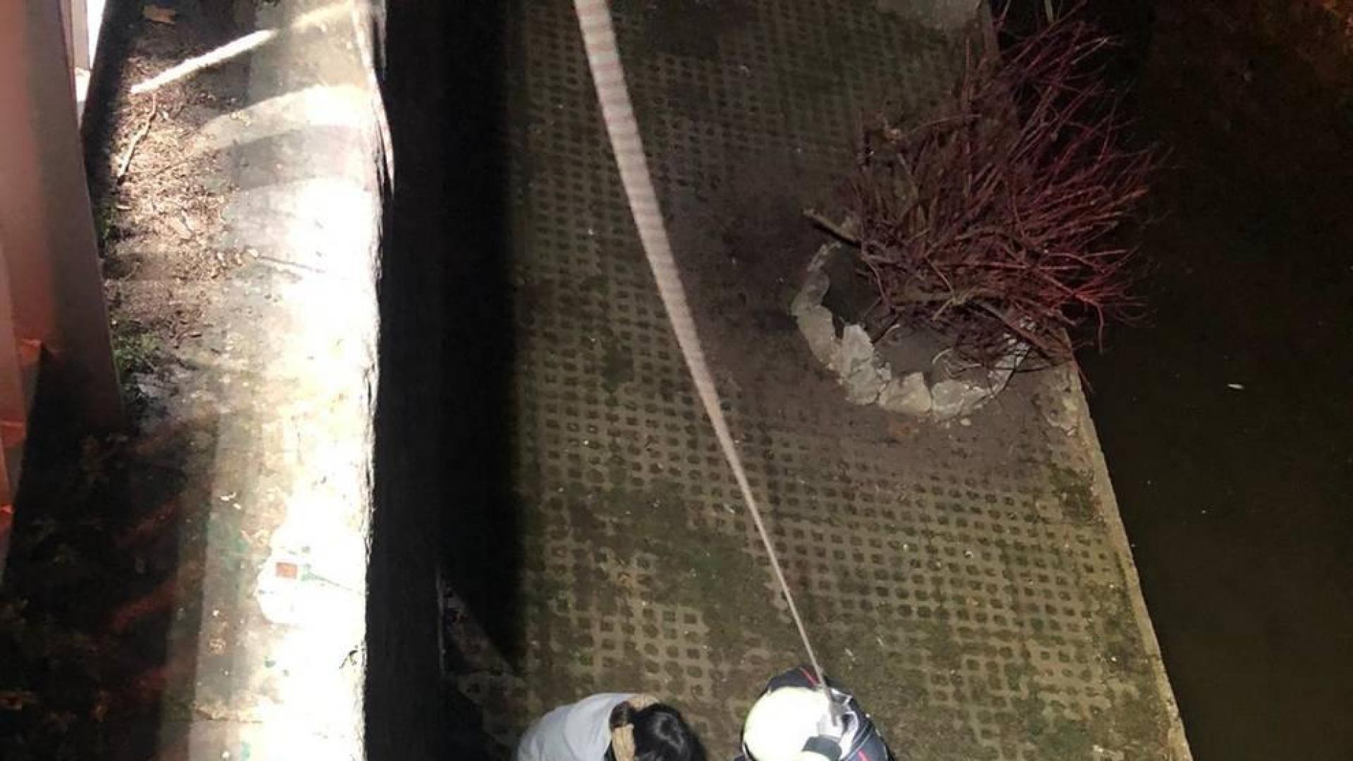 Momento en el que los bomberos preparan al perro para ser izado de los fosos