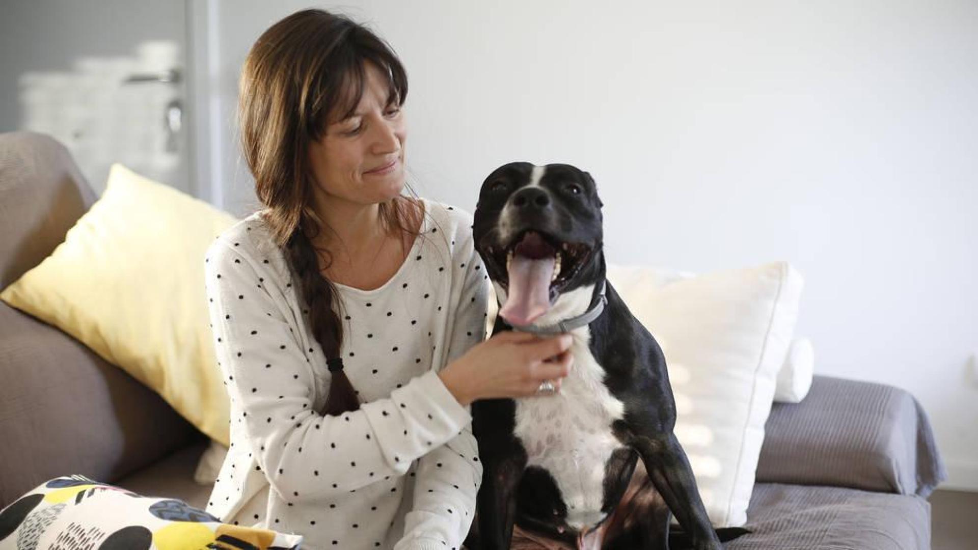 Bombón, un perro que es un bombón
