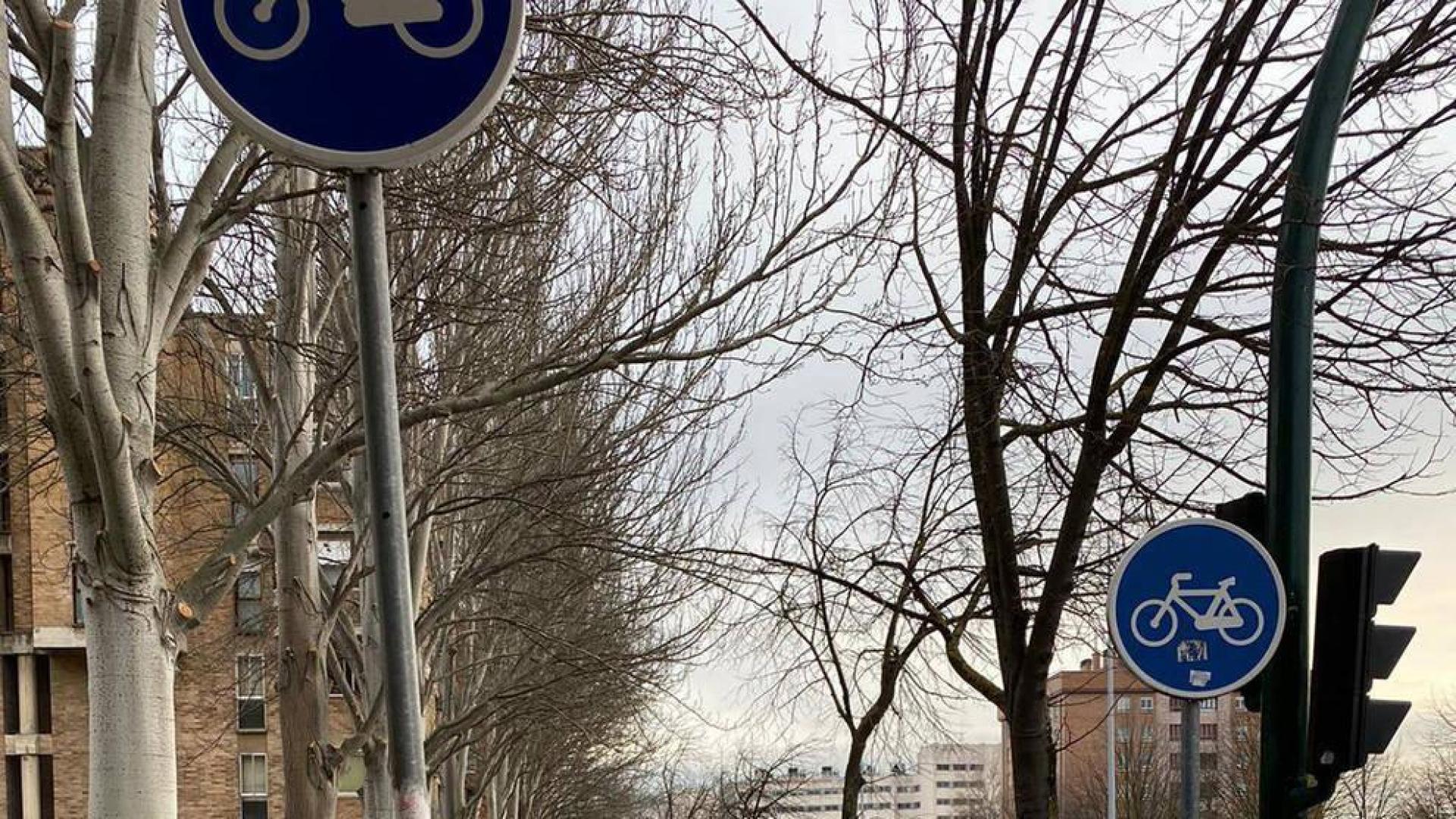 Quejas por la falta de espacio para peatones y bicis en la avenida de Navarra