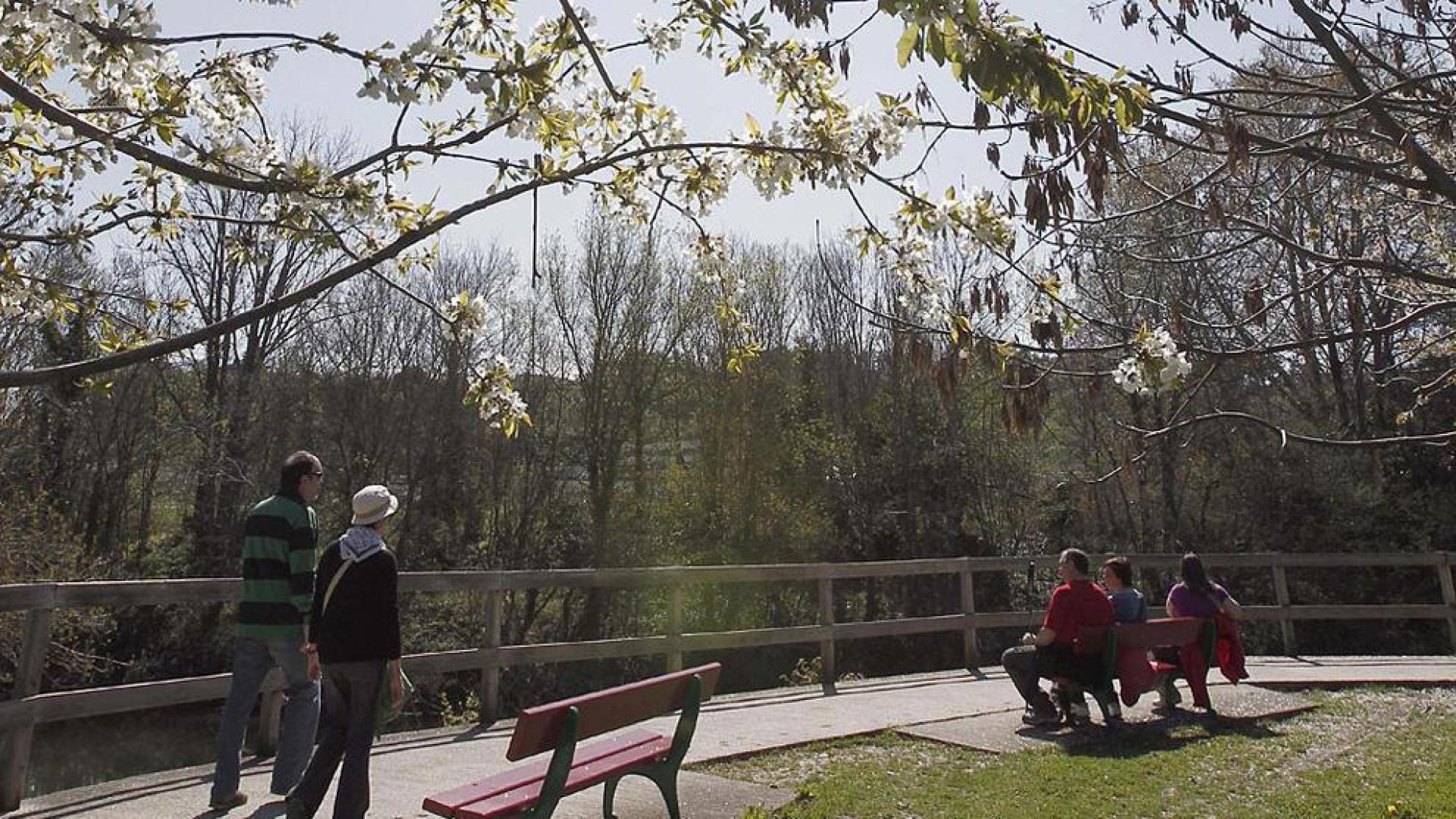 Jueves Santo con tiempo soleado y temperaturas altas en toda Navarra