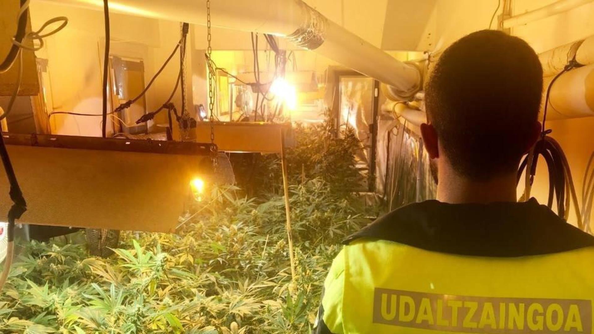 La policía cierra un club de cannabis en Bilbao y detiene a dos responsables