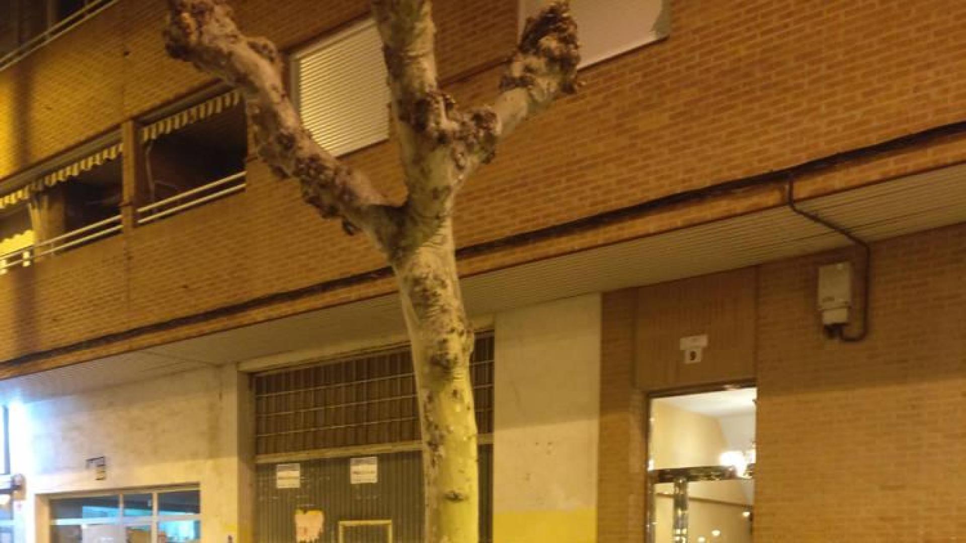 La Policía descarta el suicidio del profesor jubilado que apareció muerto en Logroño