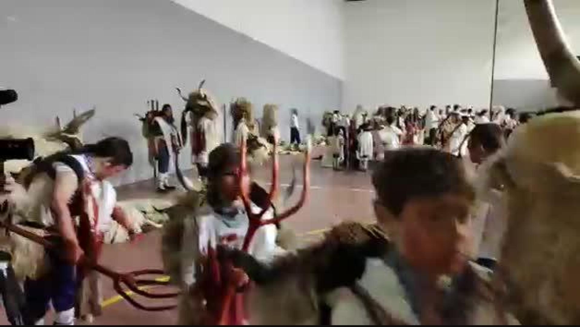 Vídeo del ritual de sangre de los momotxorros en Alsasua