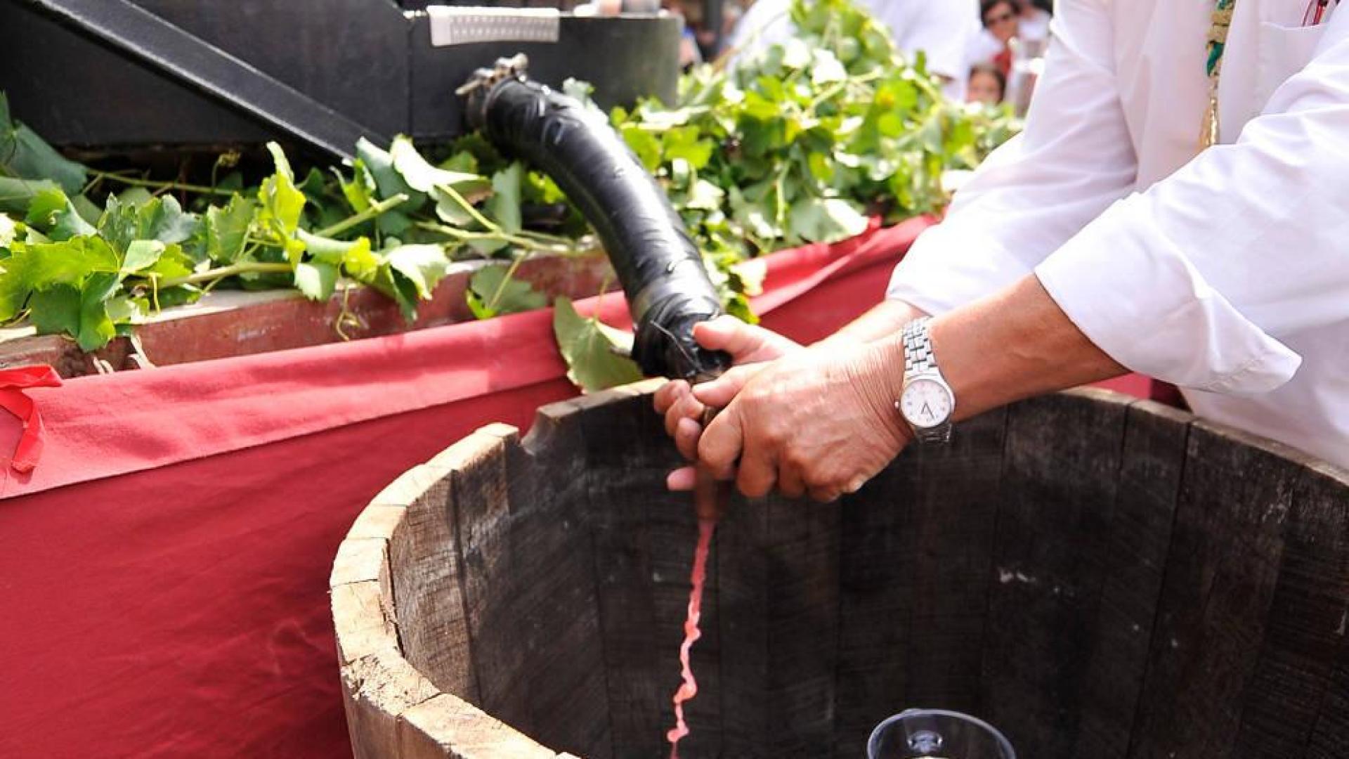 La Fiesta de la Vendimia ensalzará en Olite desde mañana el vino navarro