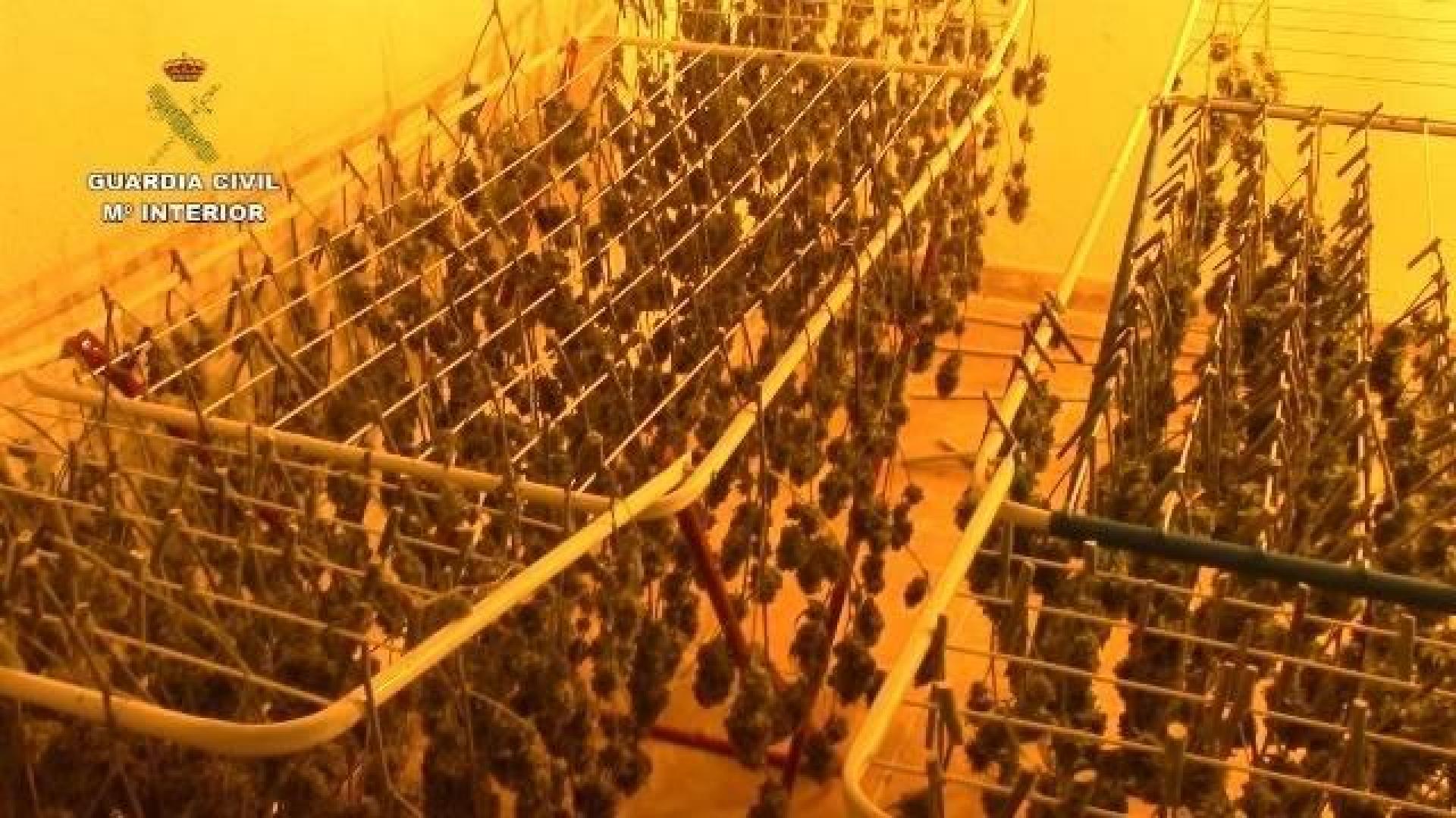 Cae una banda que robaba coches de alta gama en varias provincias