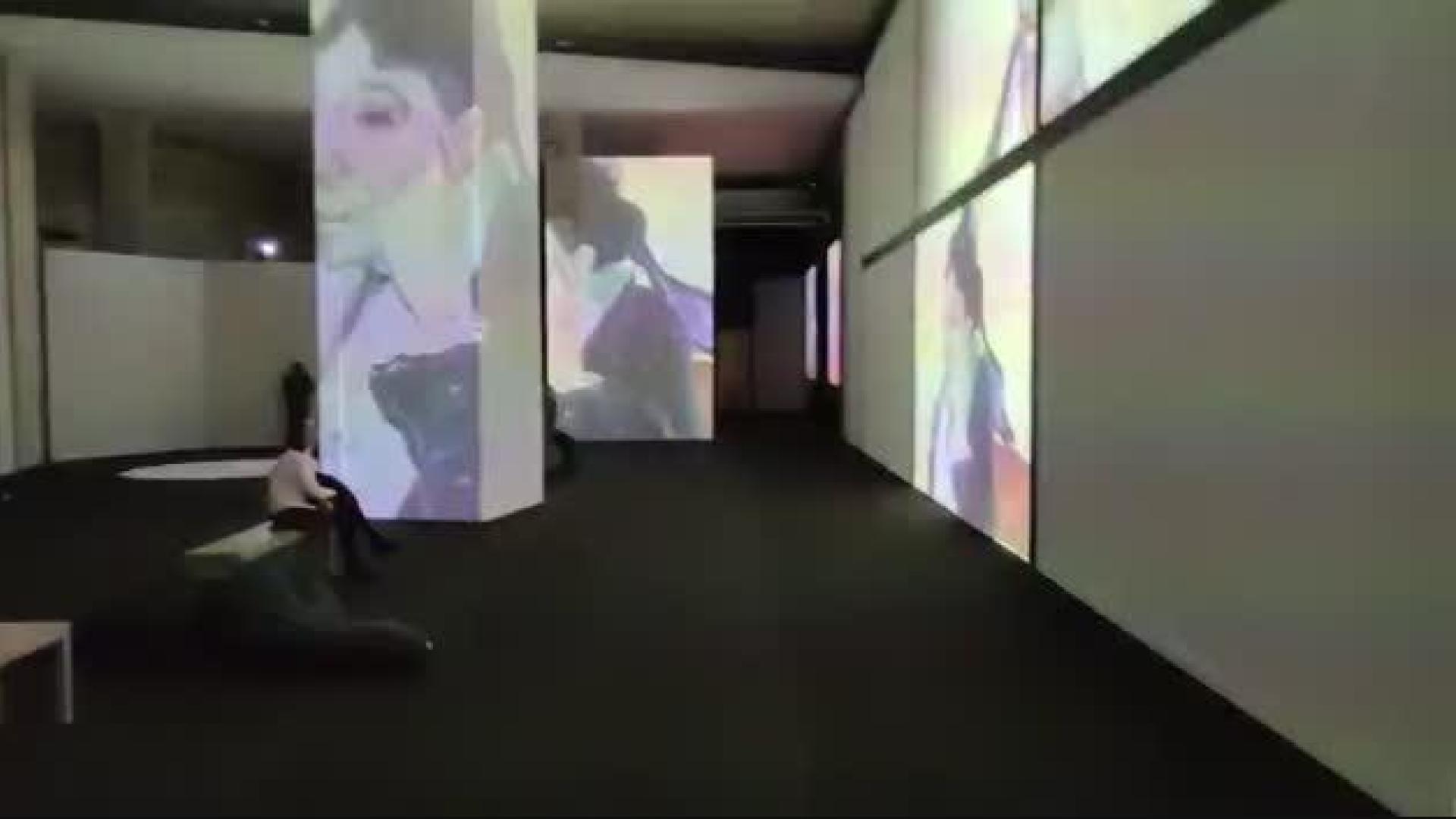 Vídeo de la exposición de Van Gogh en Pamplona