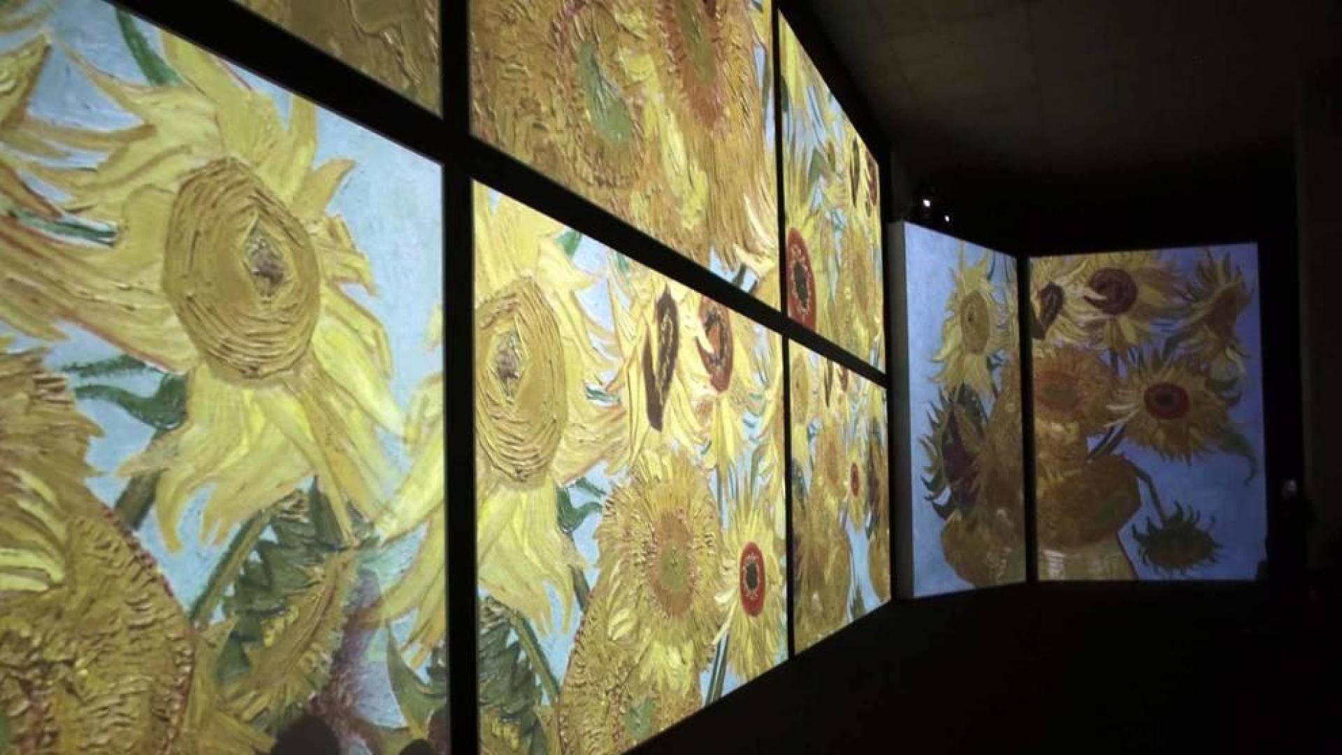 La Sala de la Muralla de Baluarte acoge desde este sábado una muestra multisensorial en la que cobrará vida la obra del artista holandés gracias a las imágenes, luces y sonidos que acompañarán al espectador en un viaje por las etapas pictóricas de Van Gogh.