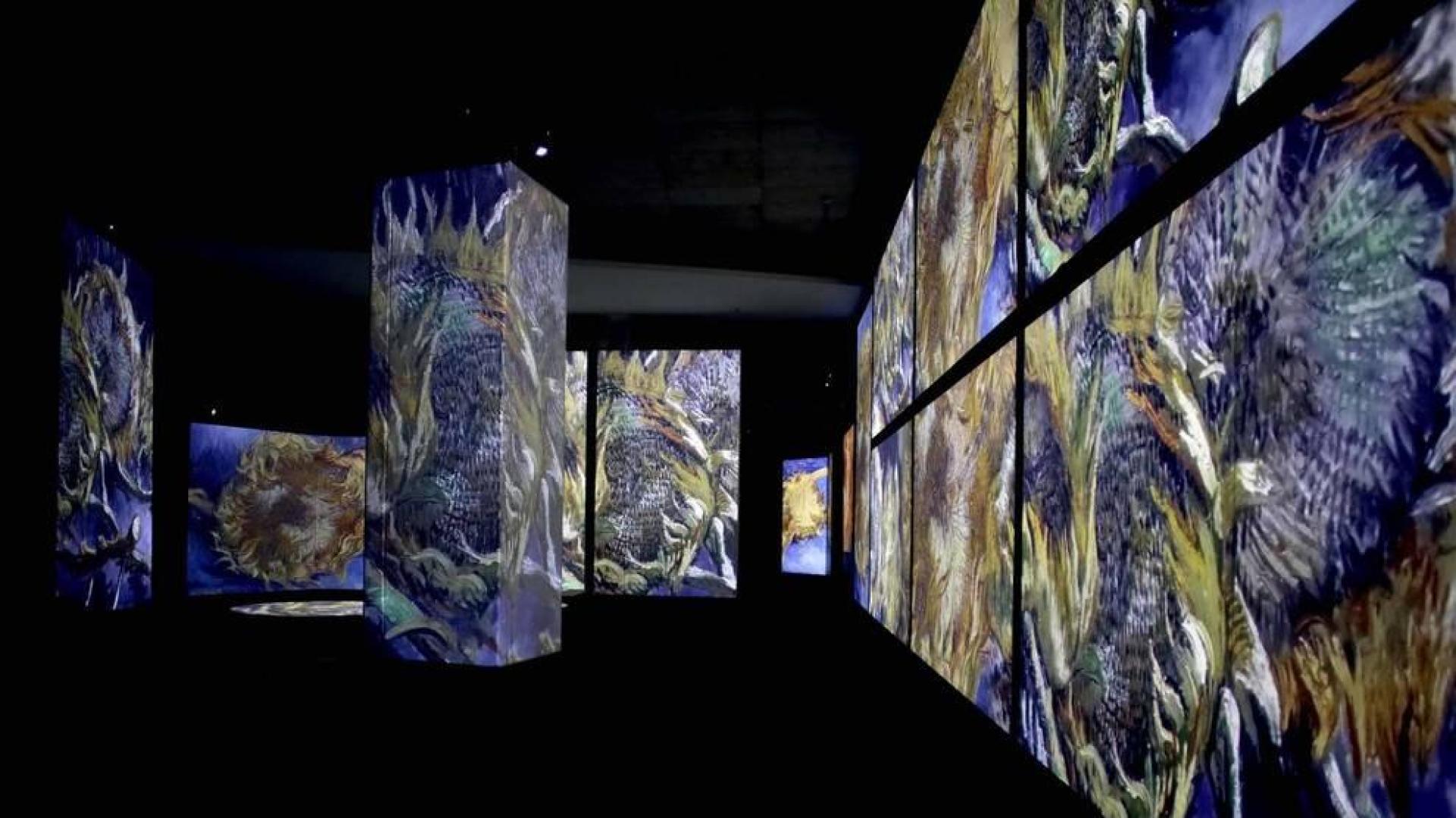 La Sala de la Muralla de Baluarte acoge desde este sábado una muestra multisensorial en la que cobrará vida la obra del artista holandés gracias a las imágenes, luces y sonidos que acompañarán al espectador en un viaje por las etapas pictóricas de Van Gogh.