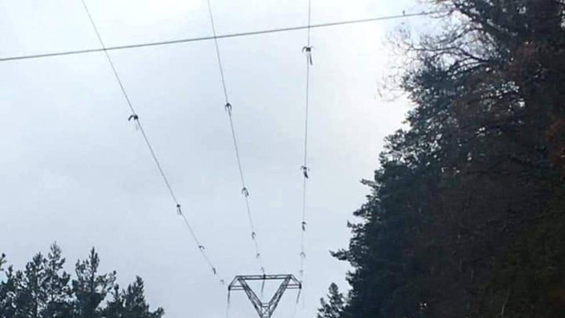 Tres pueblos del valle de Roncal, sin luz por una avería del tendido eléctrico