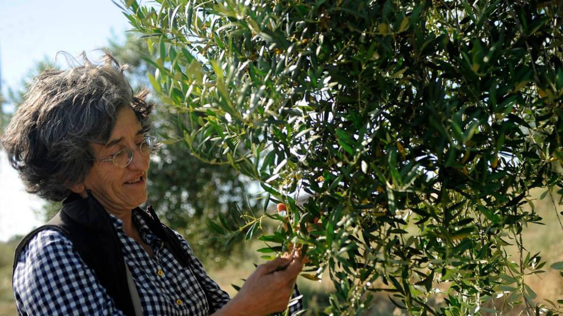 María Luz Juanmartiñena: “Son muchas horas de soledad en el tractor, pero no cambio mi vida”