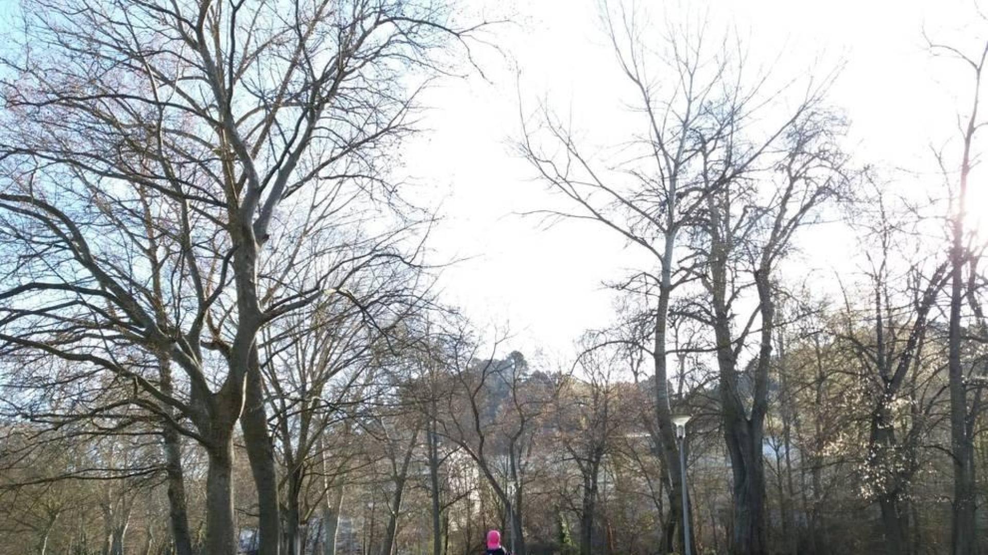Fotos del invierno enviadas por los lectores de diariodenavarra.es
