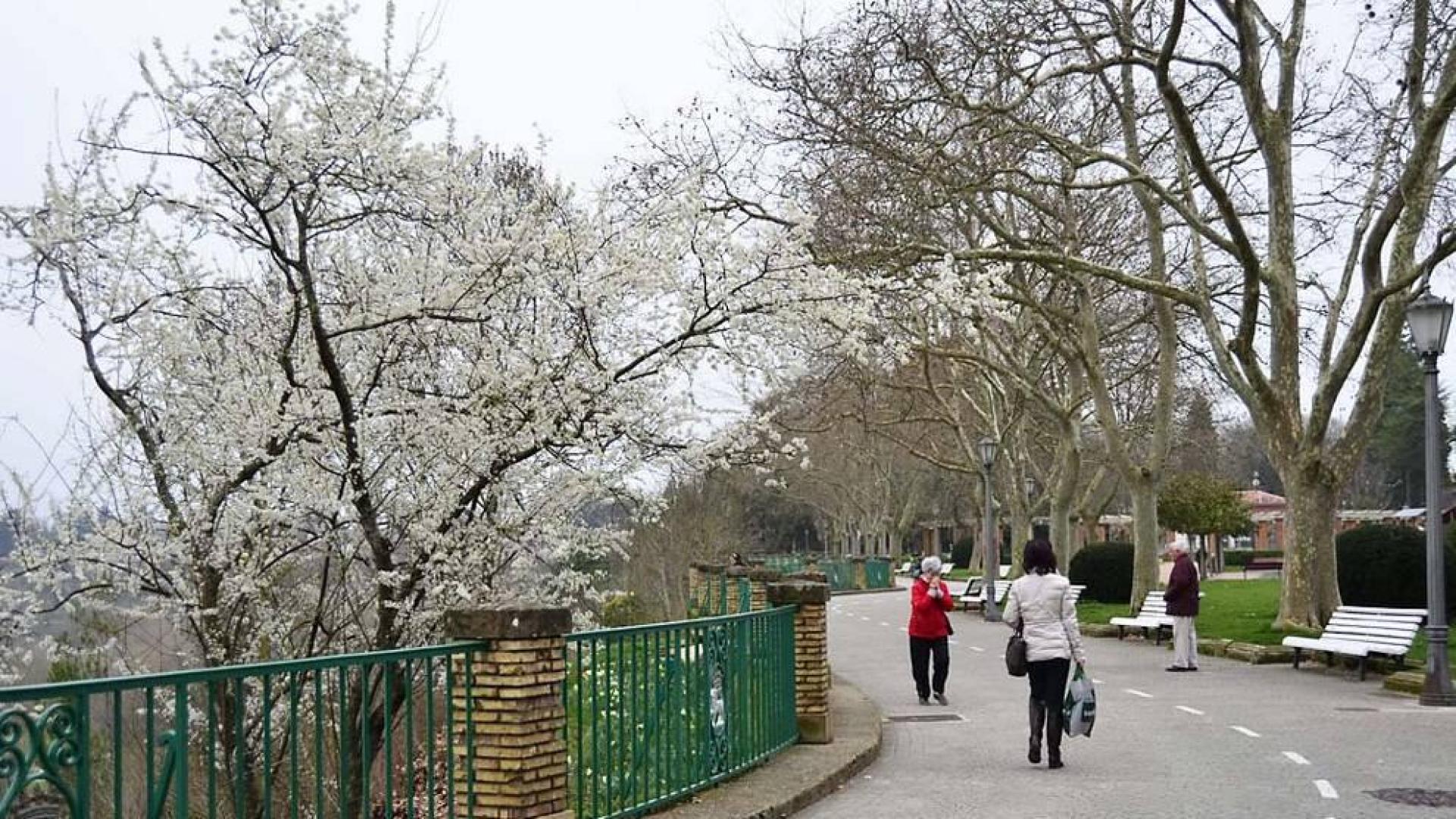 La primavera se prevé 'moderada' para los alérgicos al polen, a expensas del tiempo