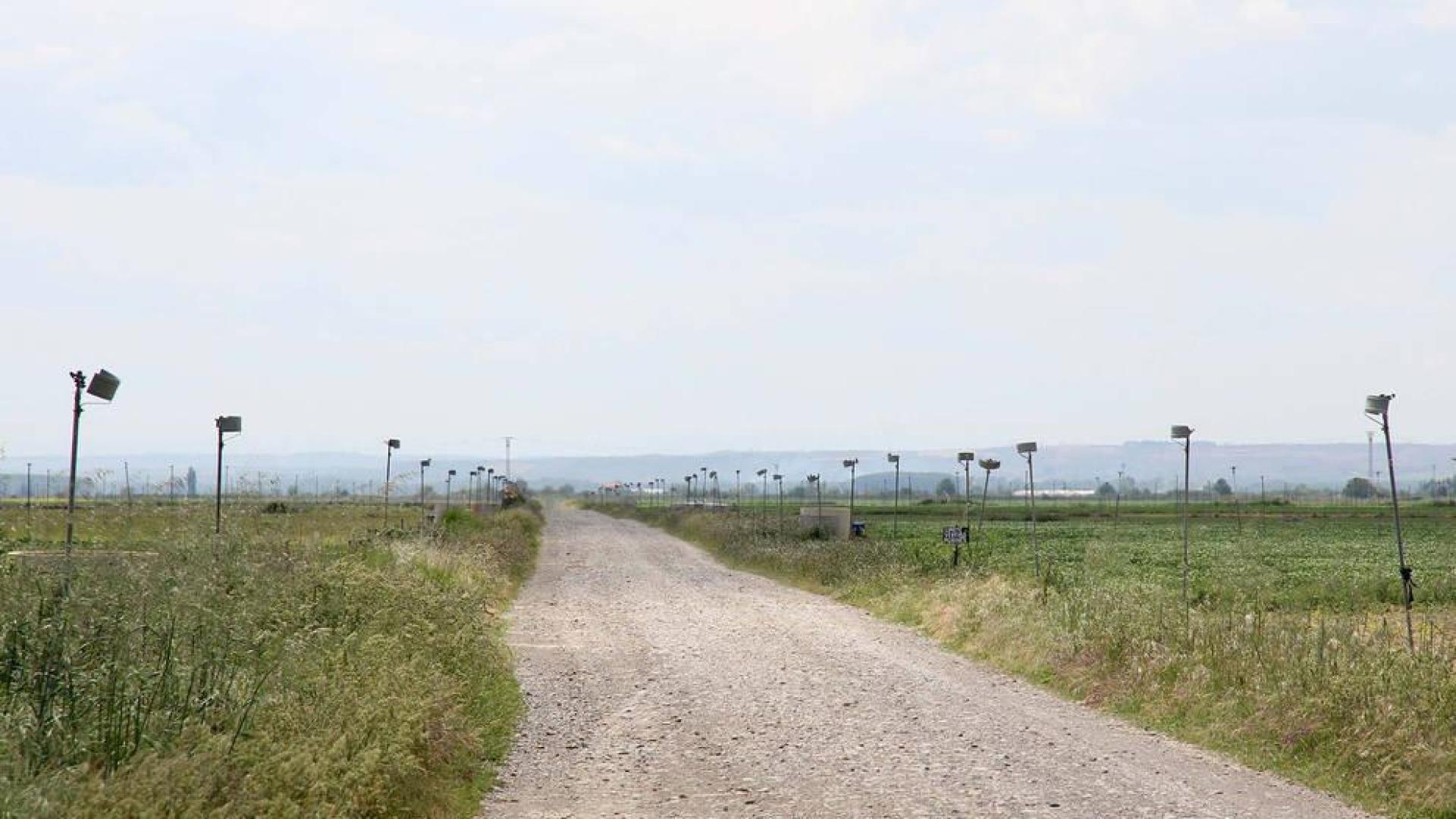 Un campo con riesgo por aspersión en Villafranca
