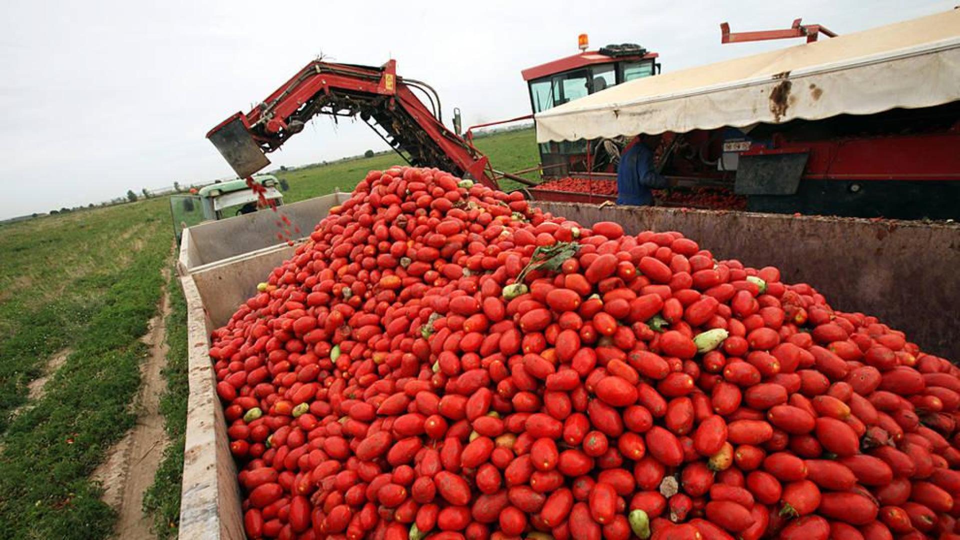 Prorrogado el plazo para solicitar las ayudas de la PAC 2016