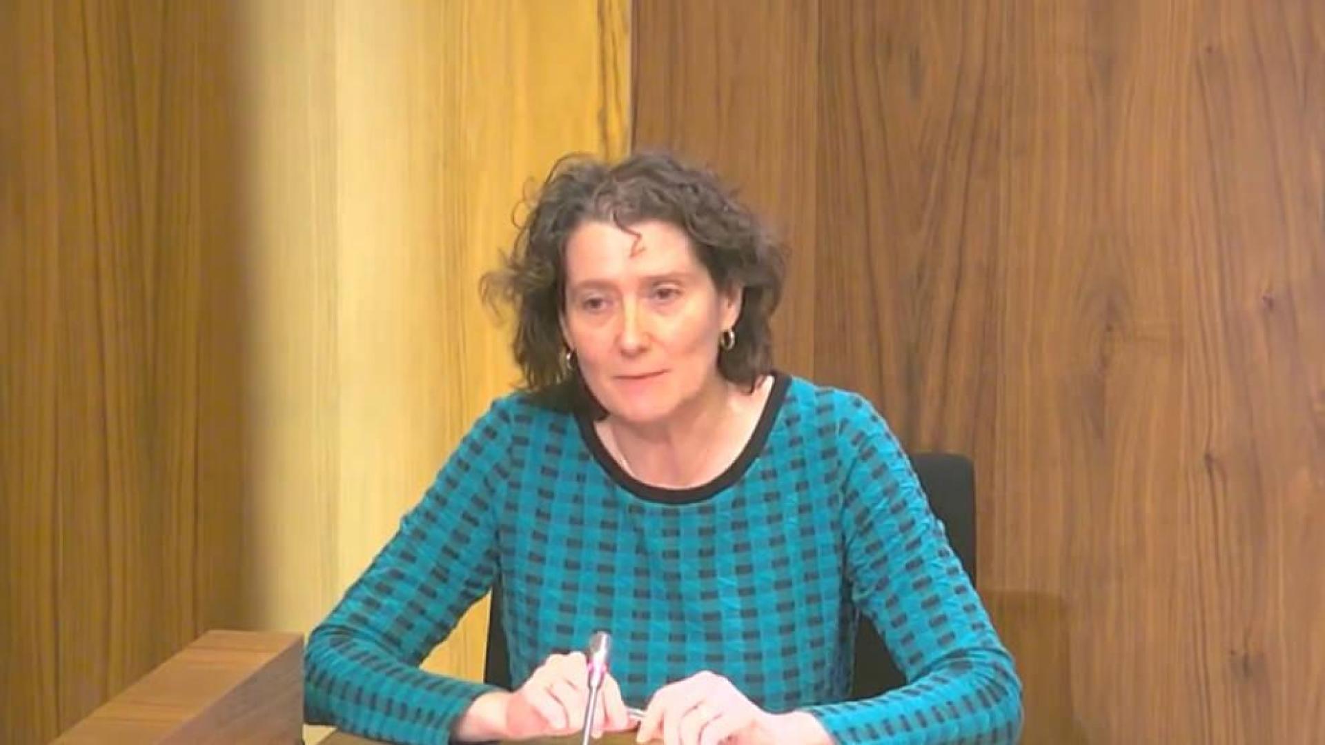 La directora de la Agencia Navarra de Autonomía y Desarrollo de las Personas del Departamento de Derechos Sociales, Inés Francés.