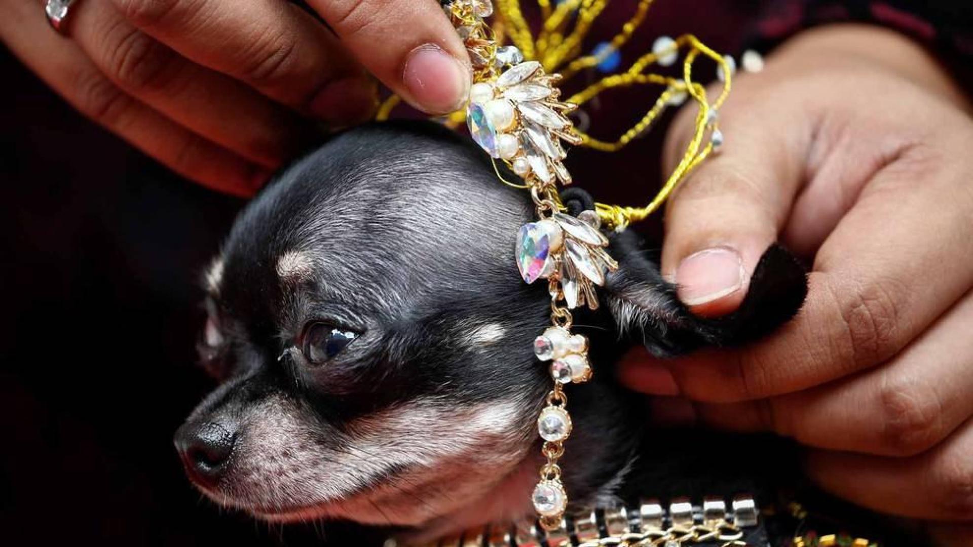 Las imágenes más llamativas de las últimas horas.