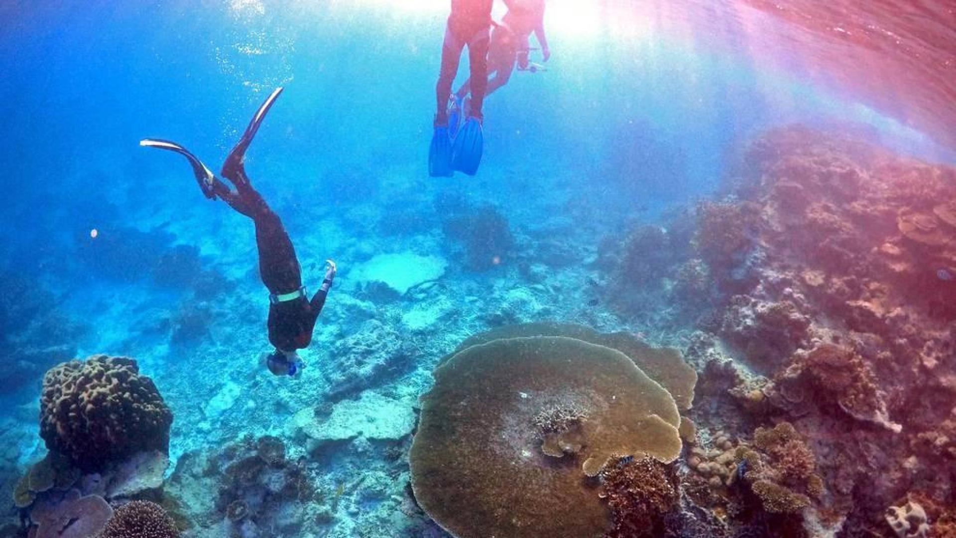 Región de la Gran Barrera de Coral de los Parques Queenlsand y Wildlife Service (Australia)