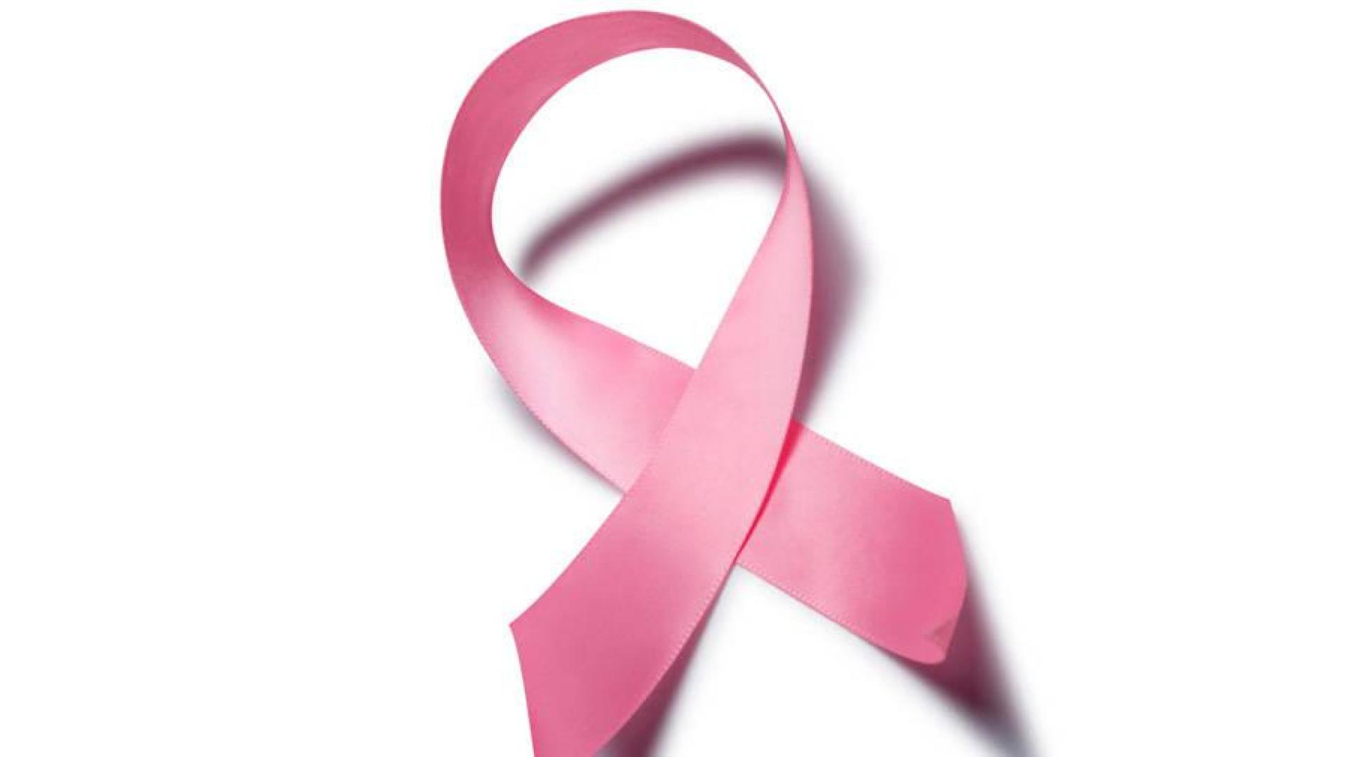 La asociación Saray impulsa una campaña para "teñir de rosa" Navarra