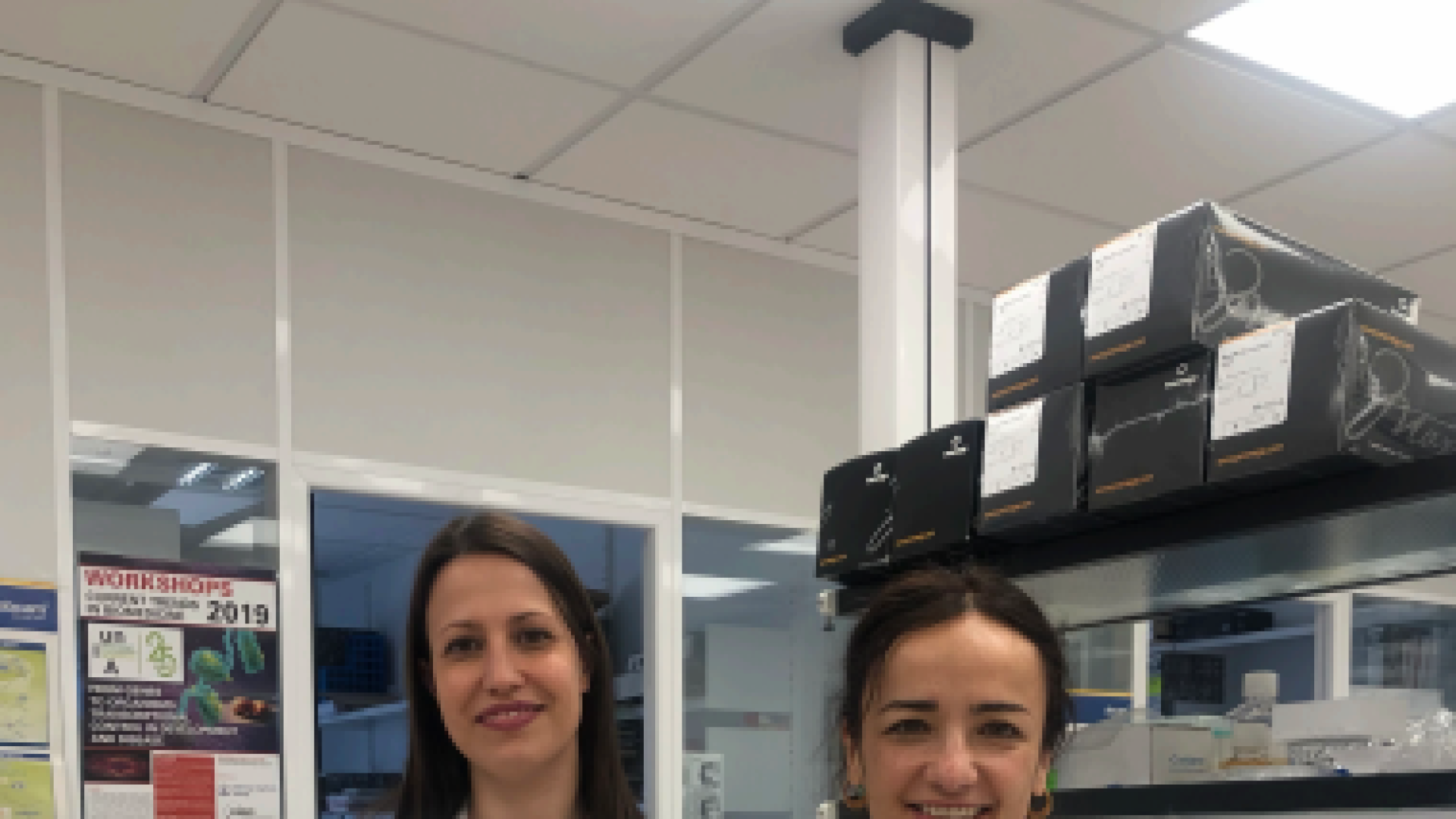 El CIMA busca tratamiento para el cáncer colorrectal resistente a medicamentos