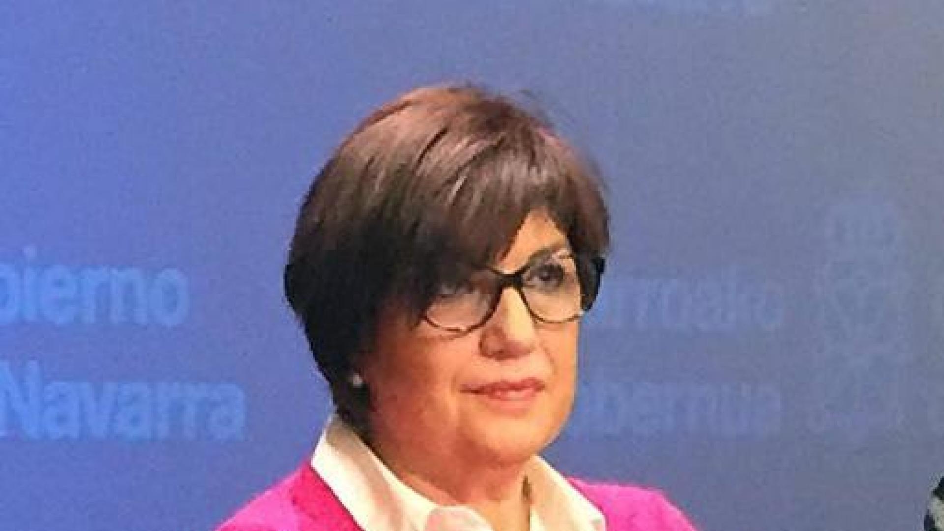 Ascunce valora el descenso de nuevos casos de coronavirus en Navarra pero pide "prudencia"