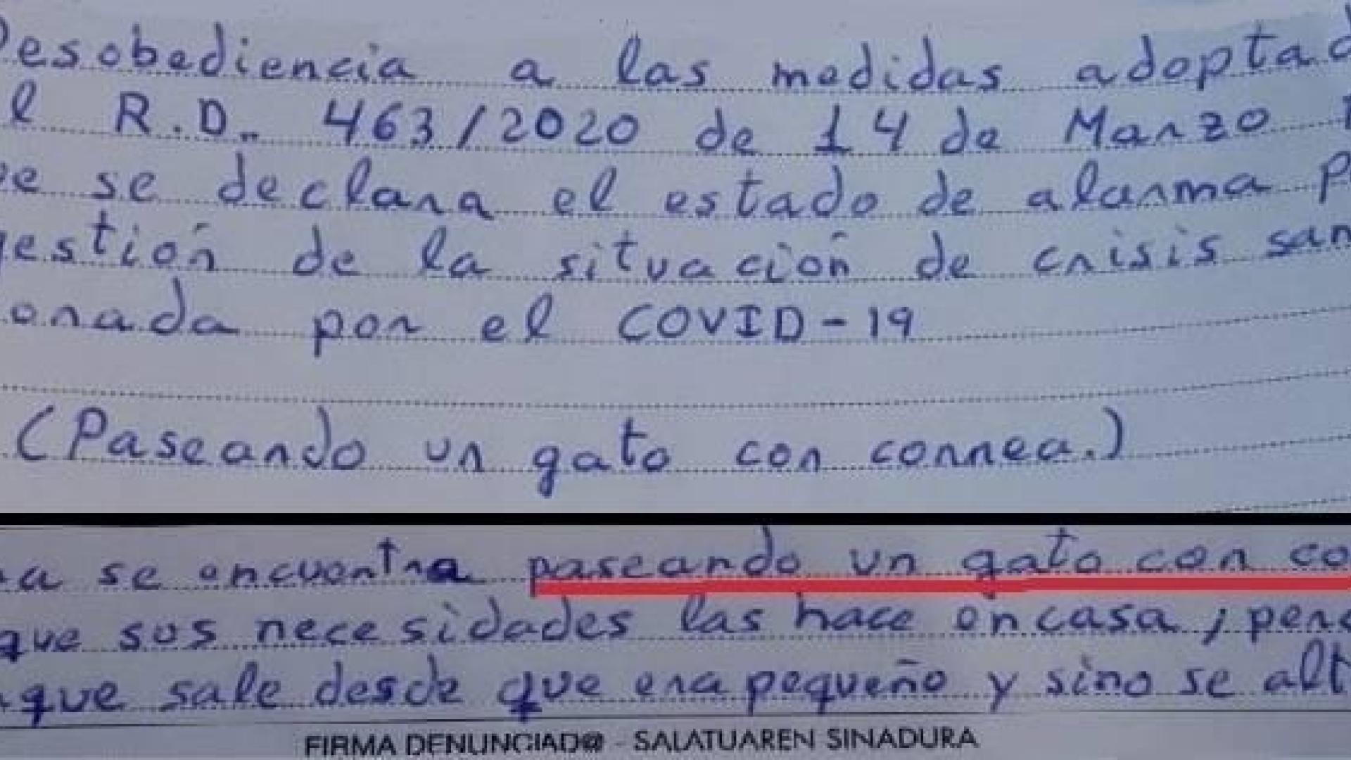 Fragmento de la denuncia a una mujer por sacar a pasear a su gato