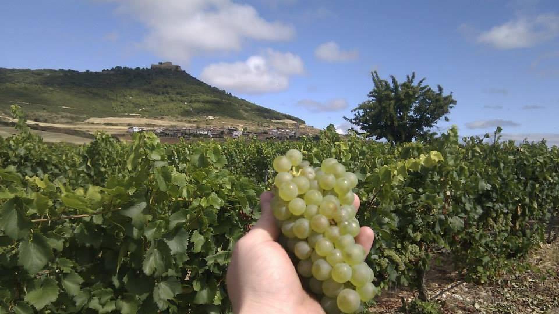 Bodegas Castillo Monjardin