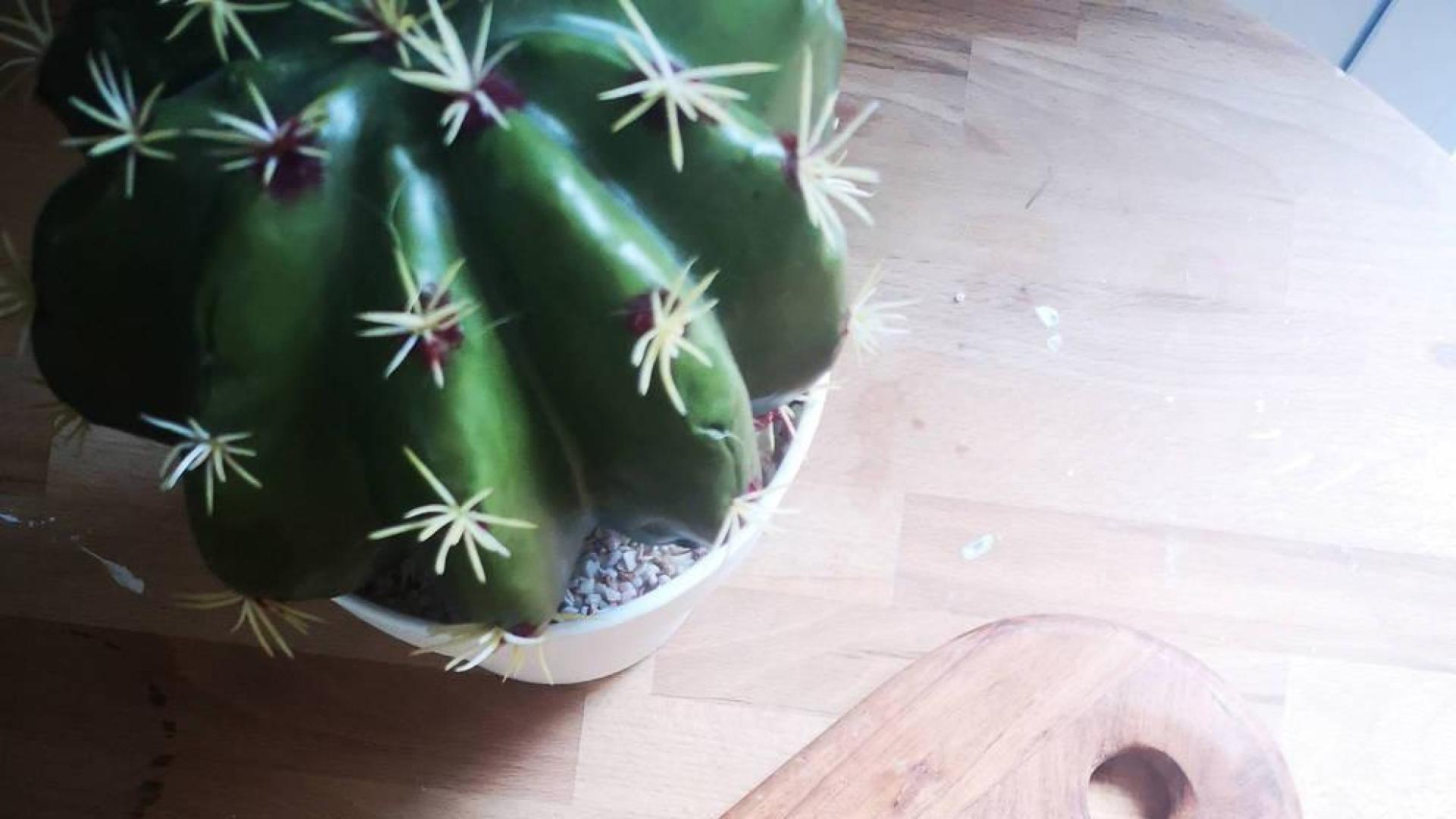 Arroz y quinoa en un mismo plato