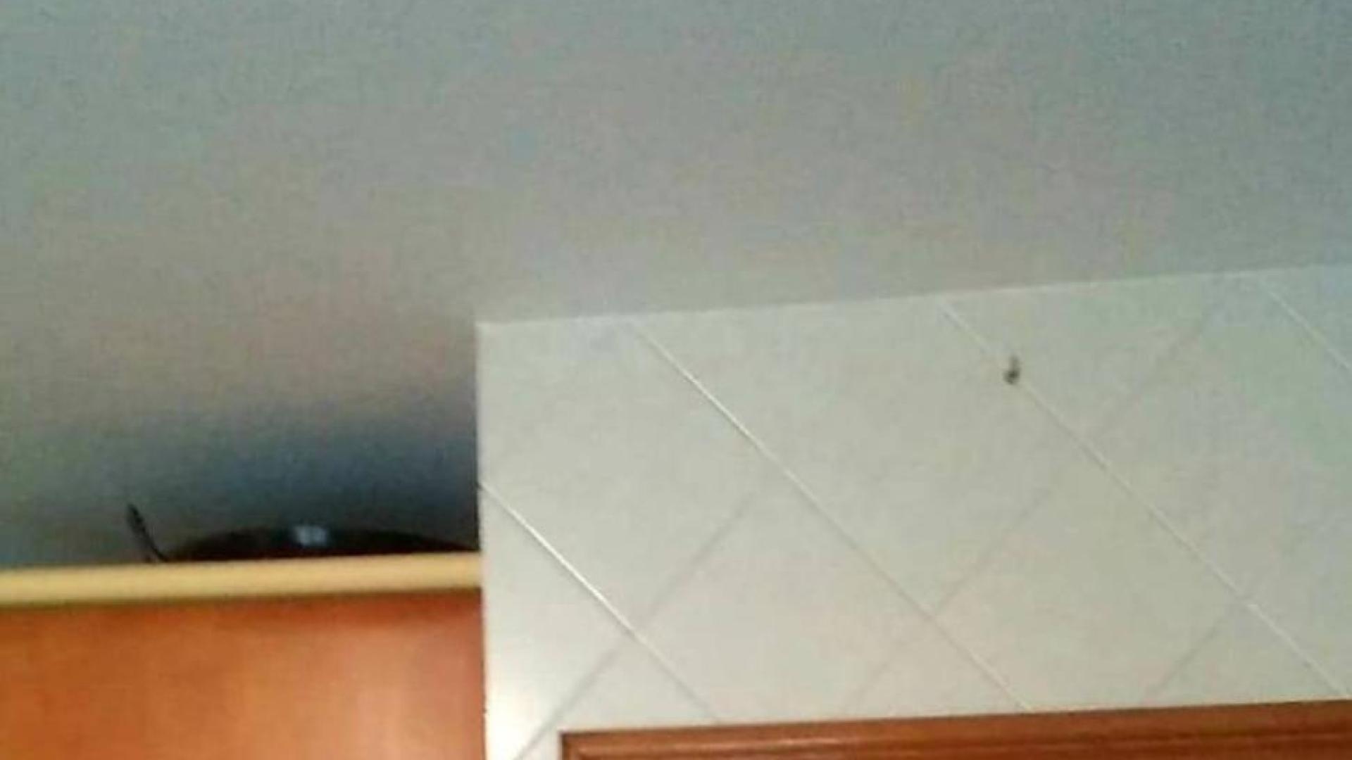 Encarna Garrido se reinventa para entrar: ¡Cuidado que tiro!