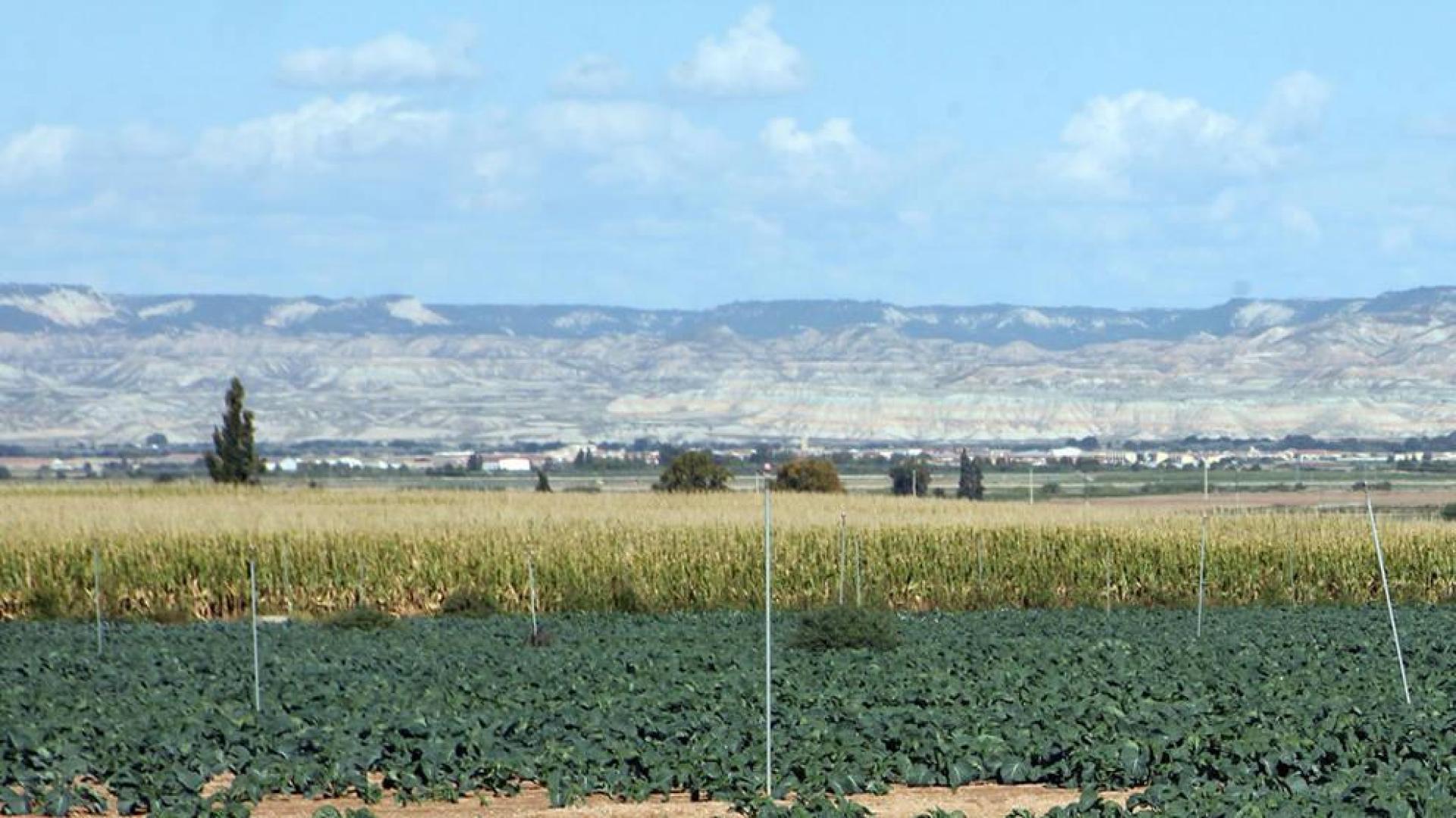 Se reabre el coto tras el acuerdo entre cazadores y agricultores