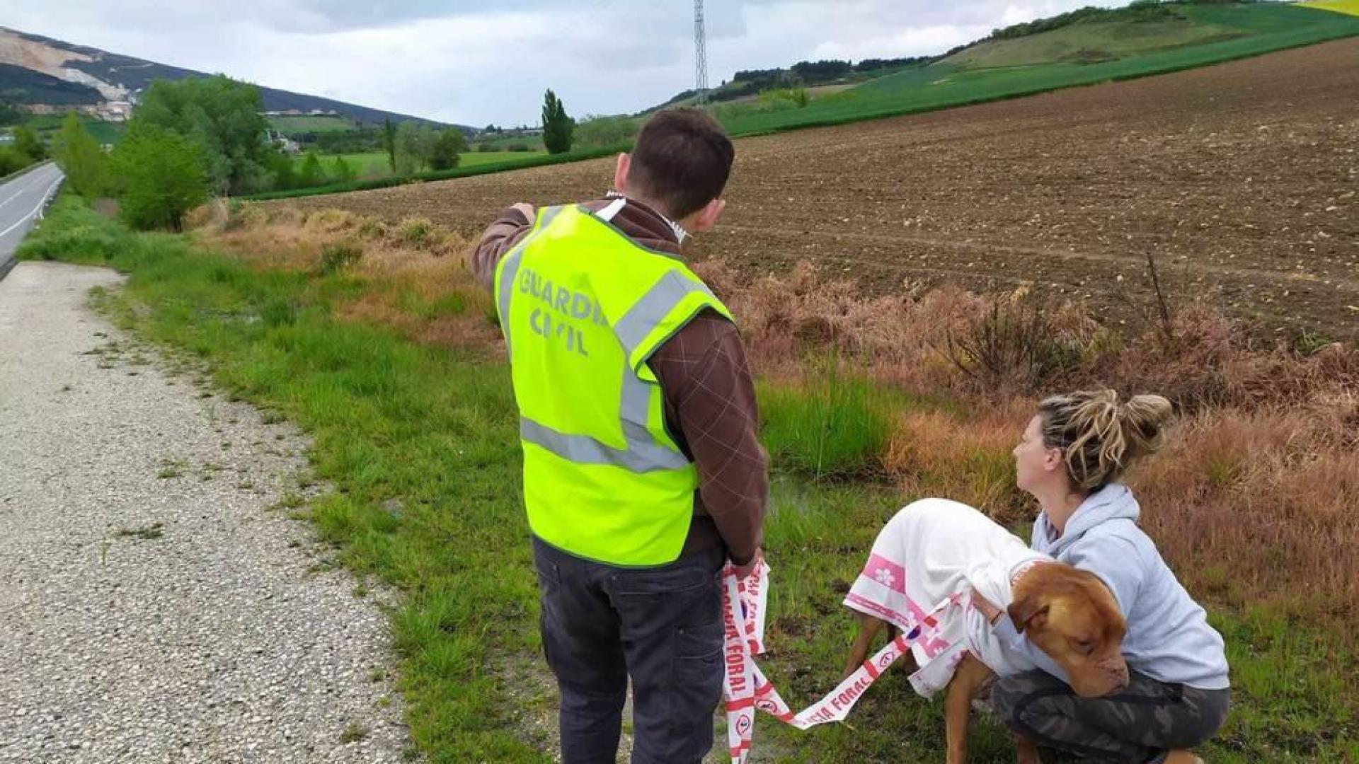 La Guardia Civil localiza a un perro perdido en la N121 entre Beriáin y Tiebas
