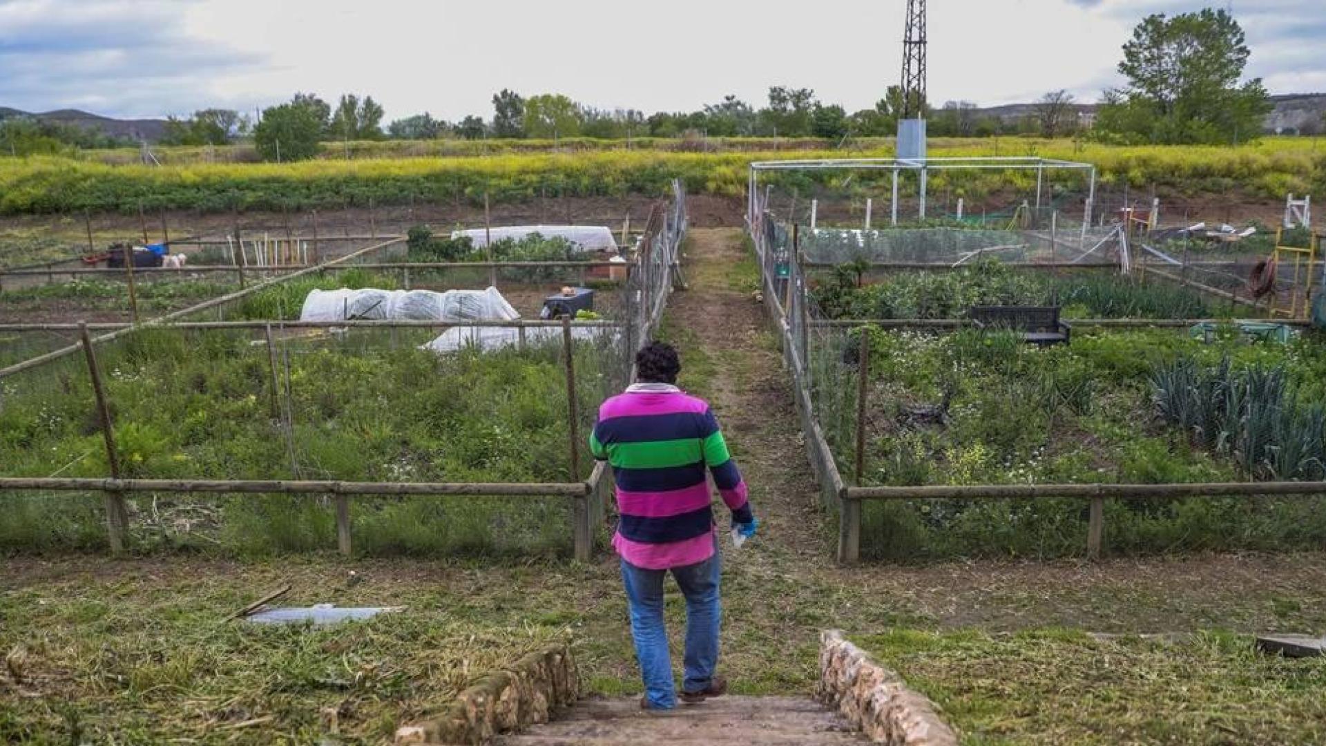 UAGN pide al Gobierno que autorice las labores en los huertos familiares