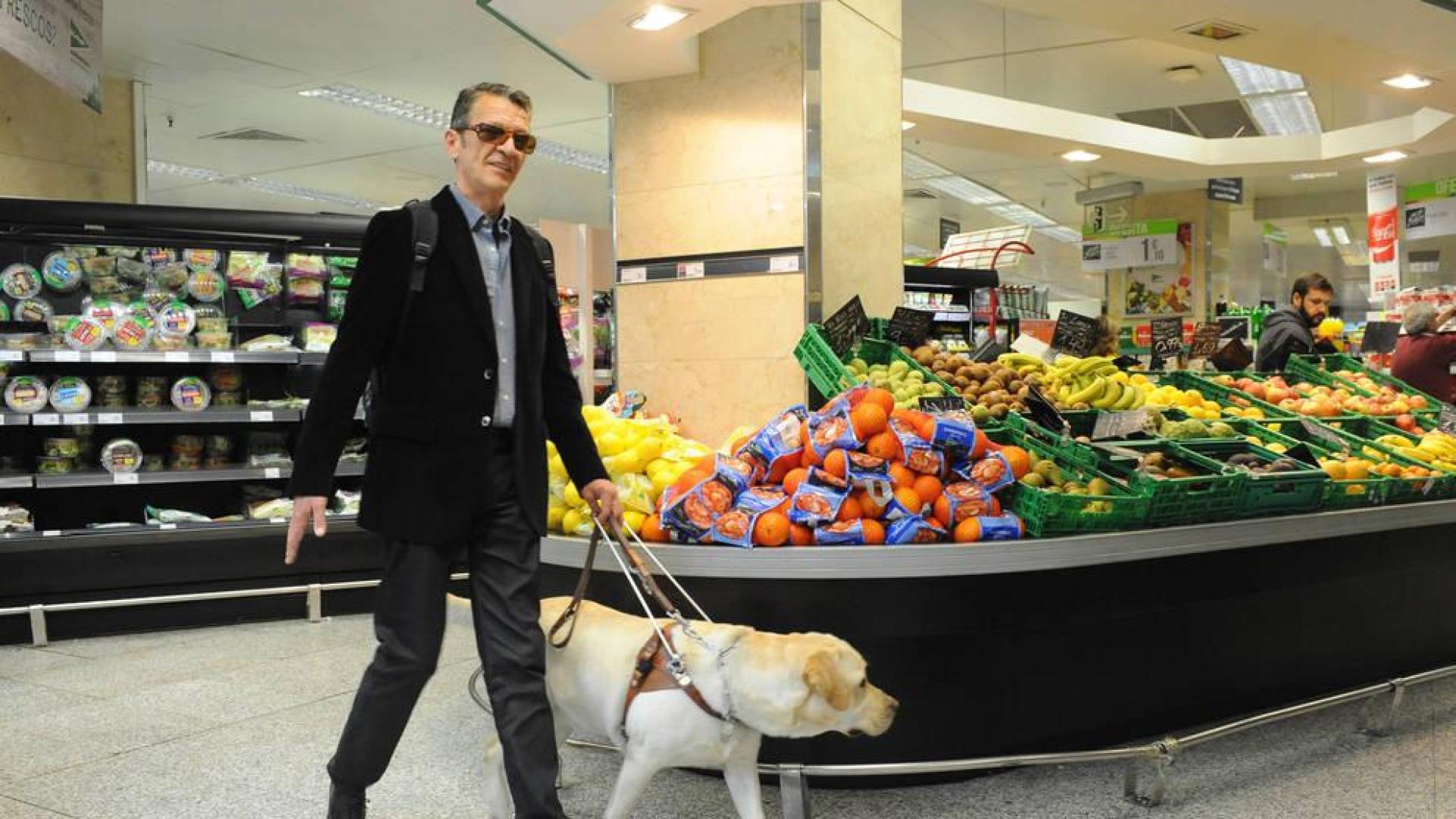 Nueve perros guía acompañan a las personas ciegas en su confinamiento