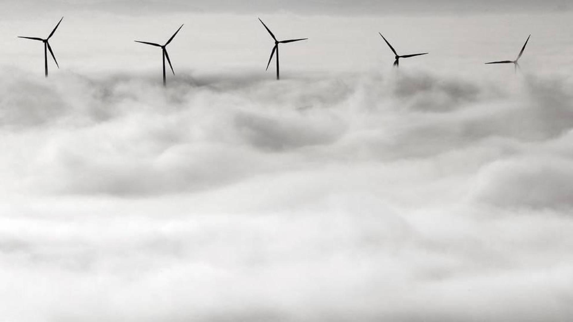 La niebla baja y densa vuelve a afectar a buena parte de Navarra