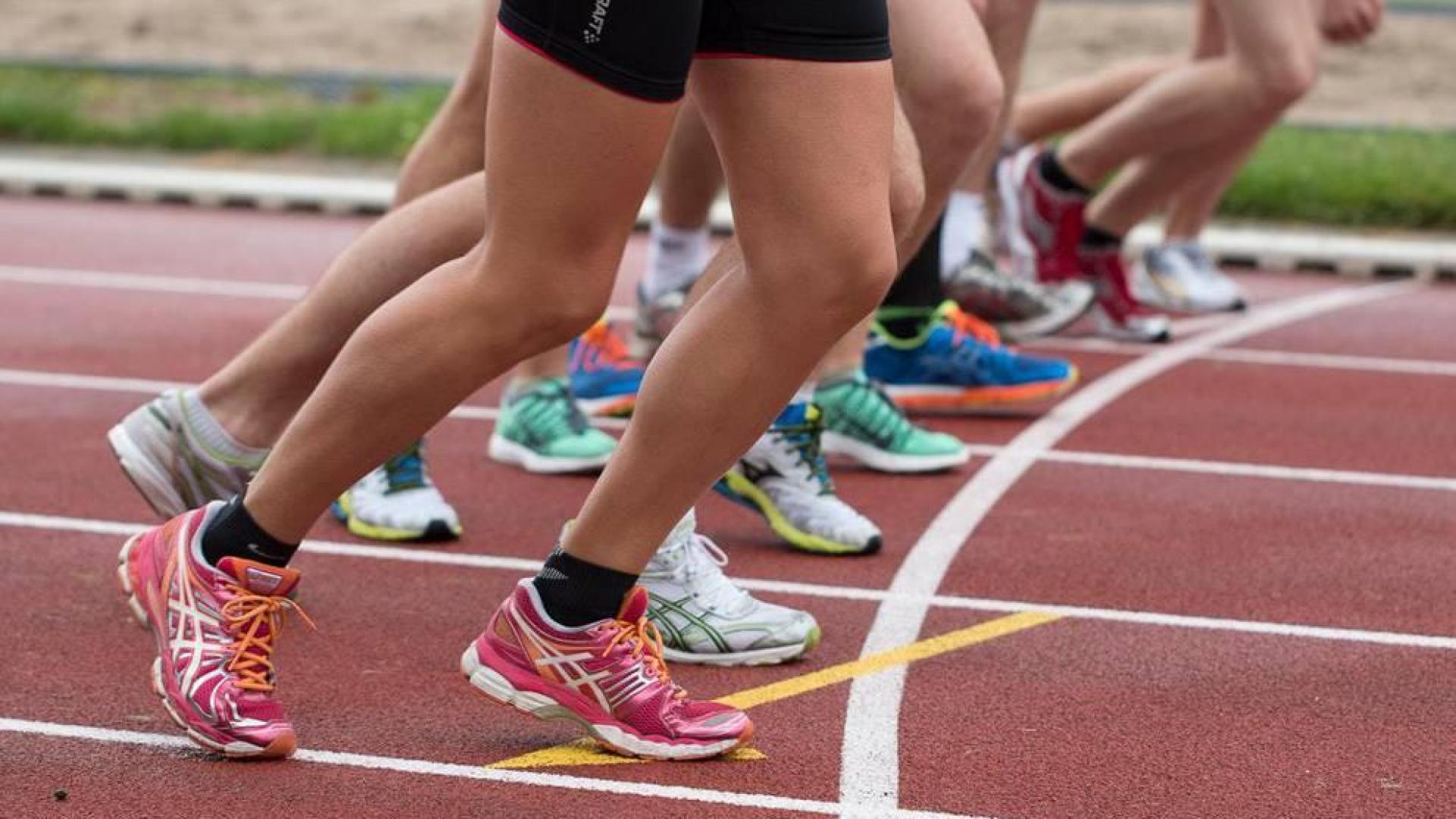 CSD repartirá 14 millones para ayudas sociales y apoyo a deportistas