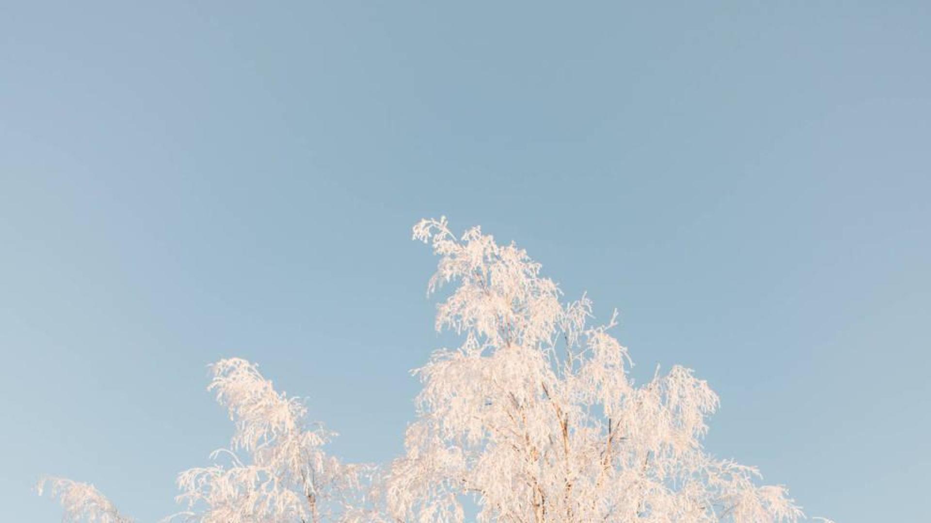 Fabio Purroy, en una de sus salidas en el parque nacional de Abisko, en Suecia.