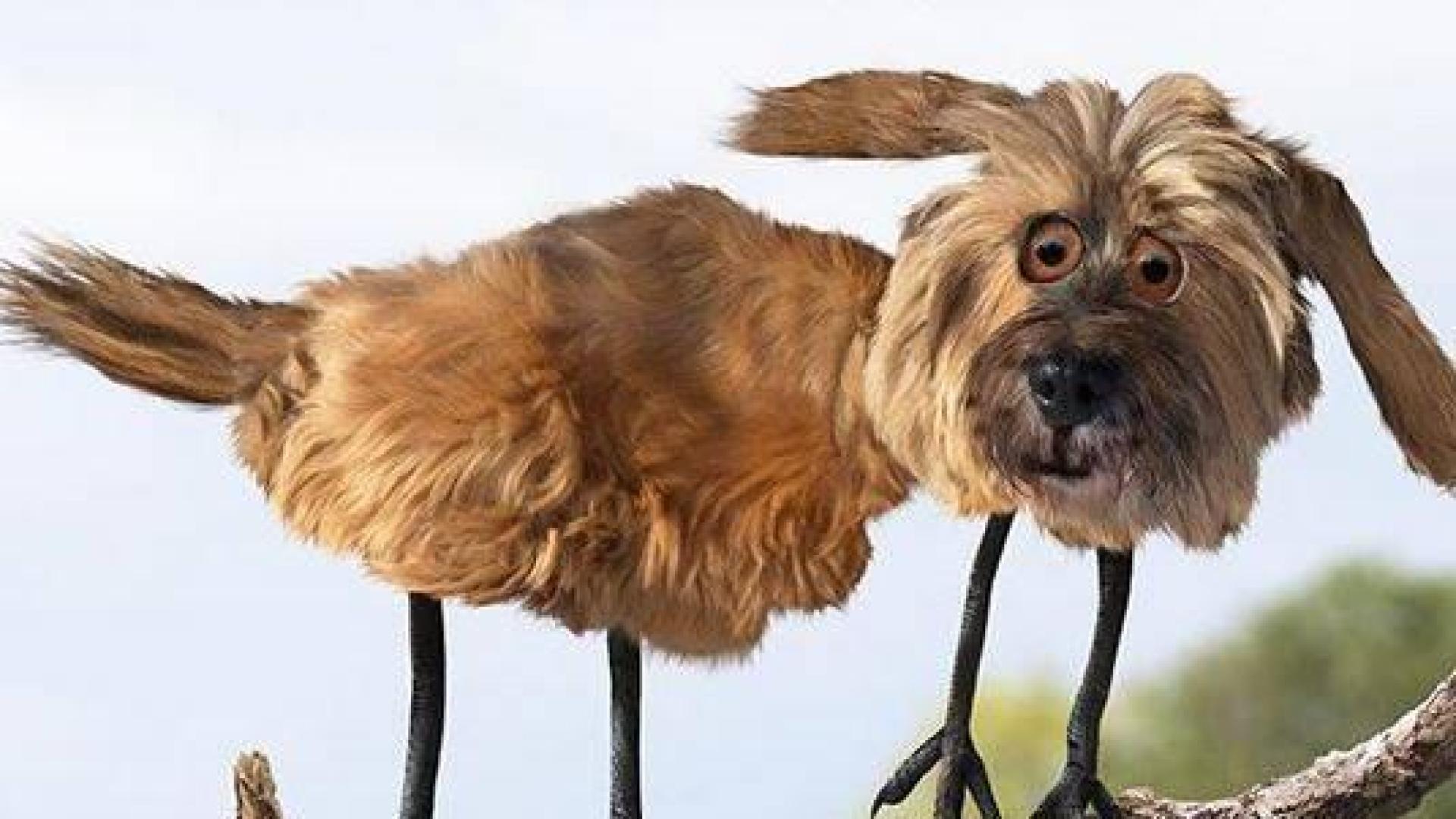 ¿Cómo serían los animales en realidad si fueran como los pintan los niños?