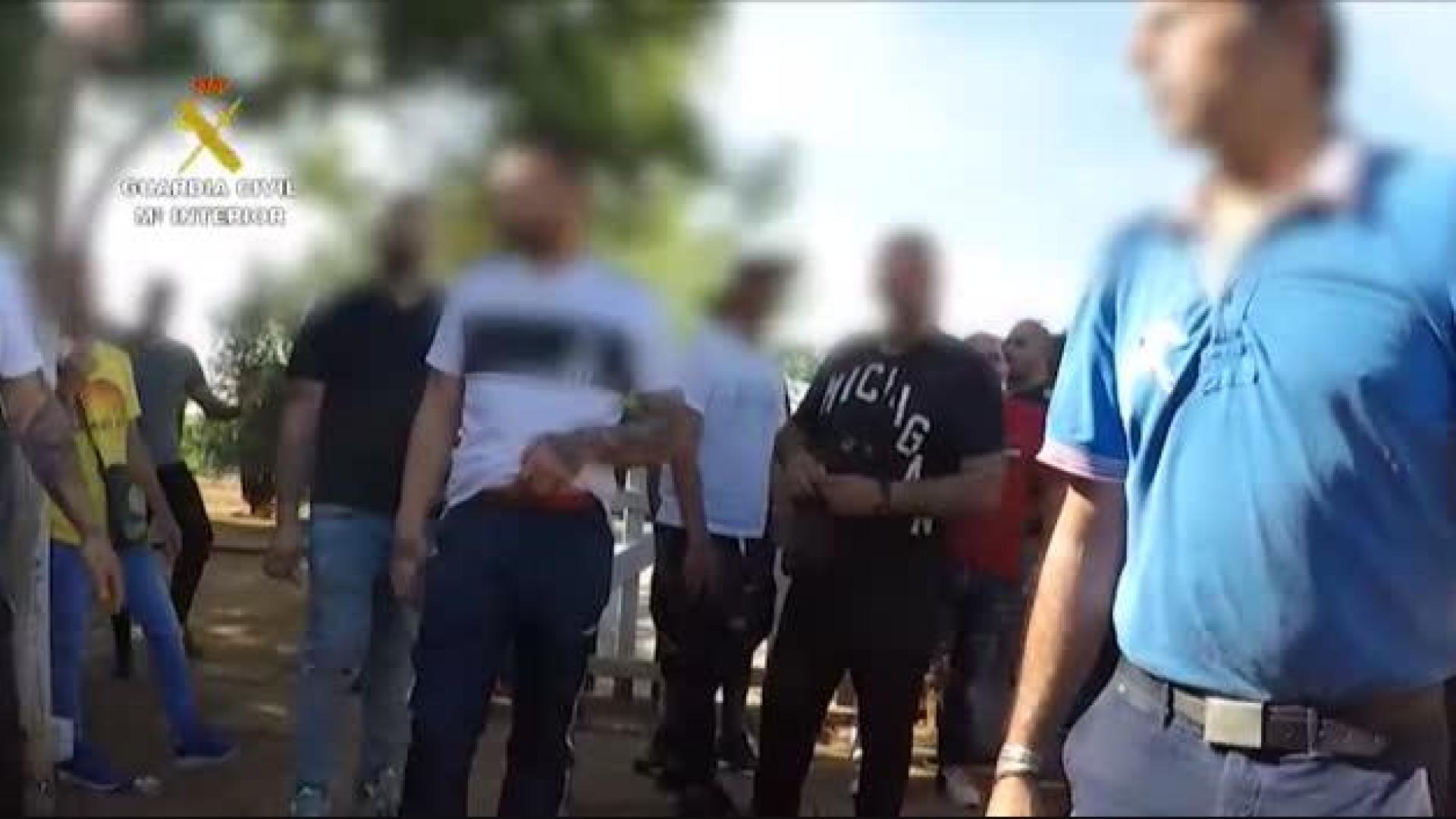 La Guardia Civil irrumpe en una finca de Sevilla donde se realizaban peleas de gallos