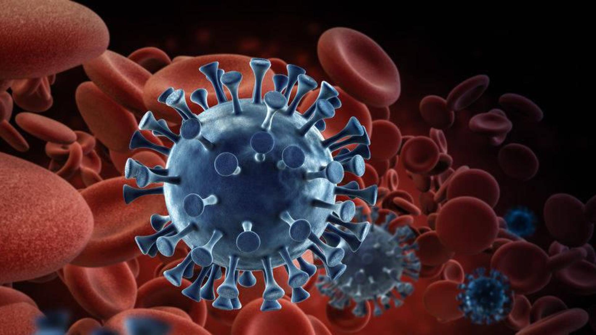 Imagen del virus del coronvirus.